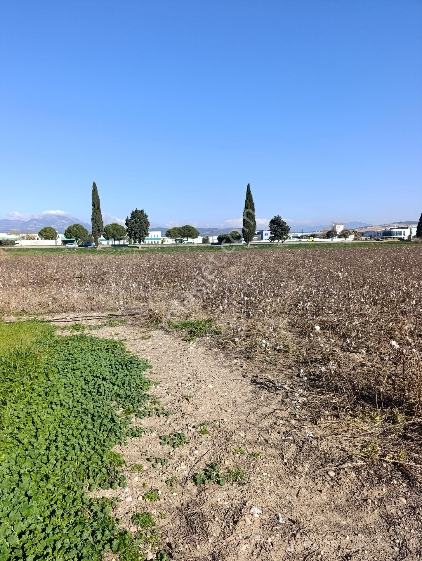 İzmir Torbalı Yazıbaşında Satılık Tarla - Görsel 18