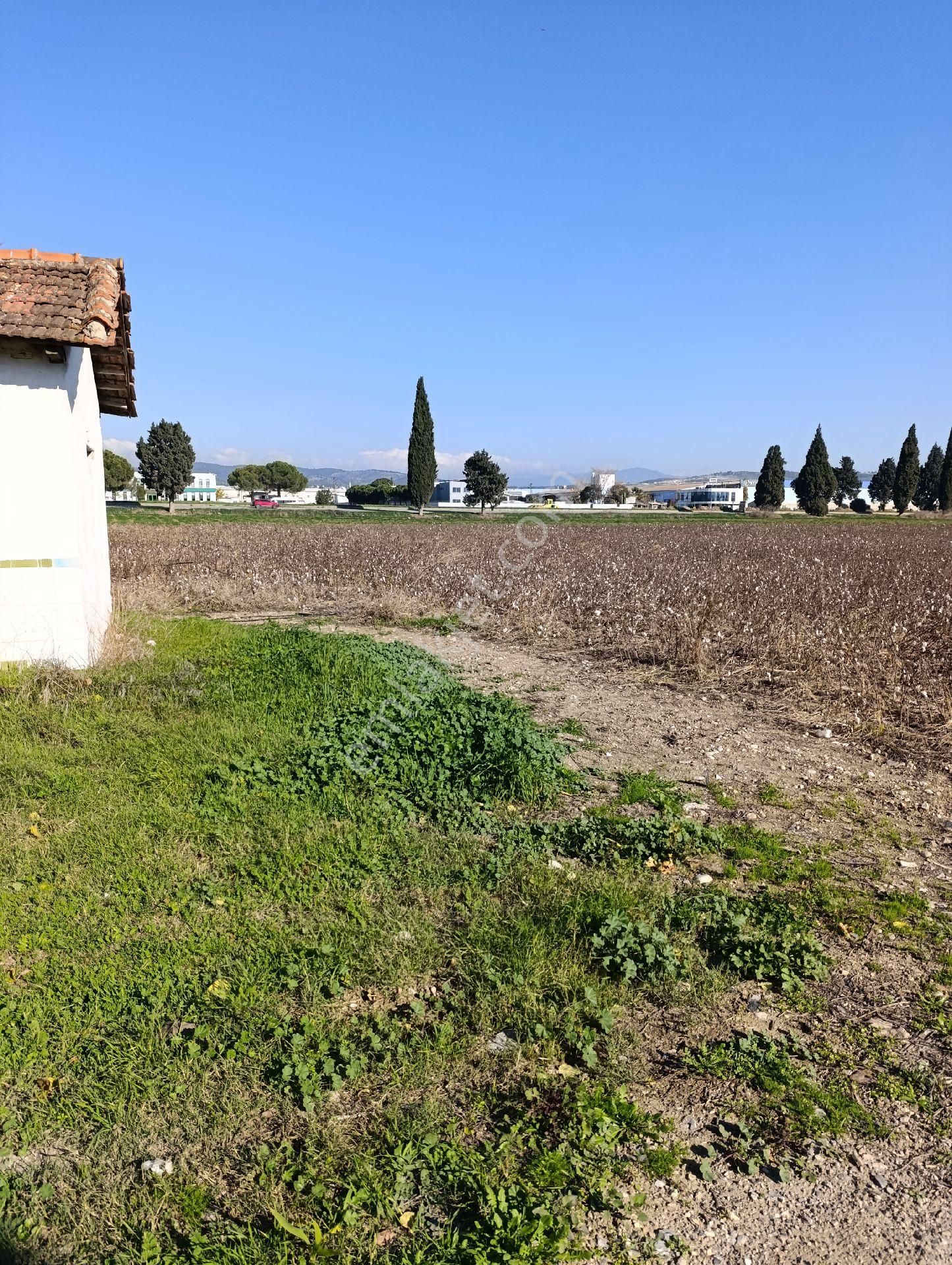 İzmir Torbalı Yazıbaşında Satılık Tarla - Görsel 21