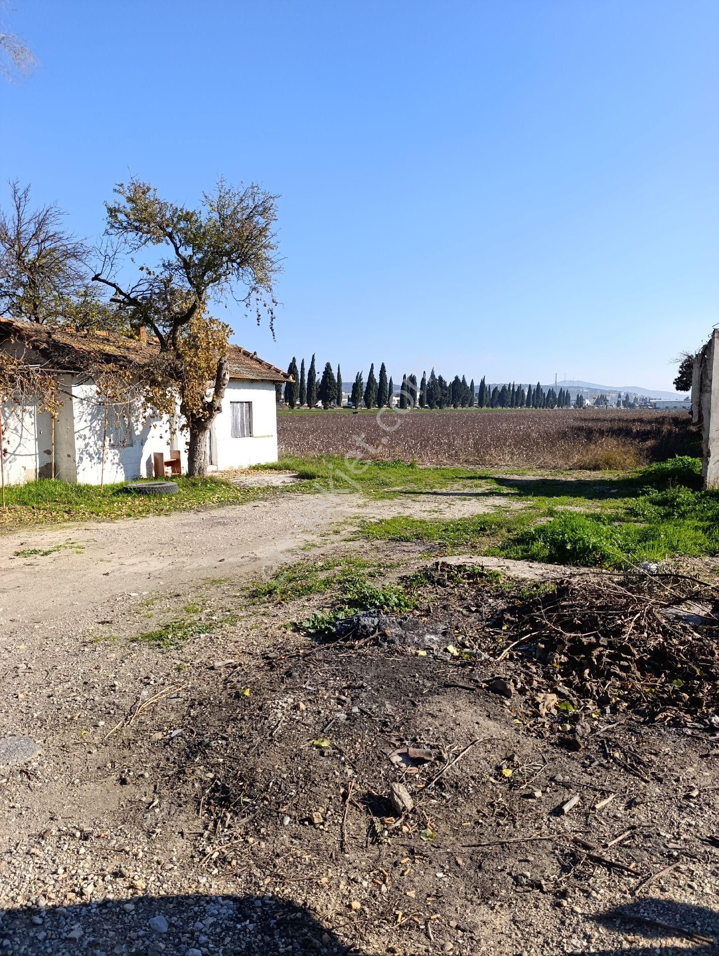 İzmir Torbalı Yazıbaşında Satılık Tarla - Görsel 5