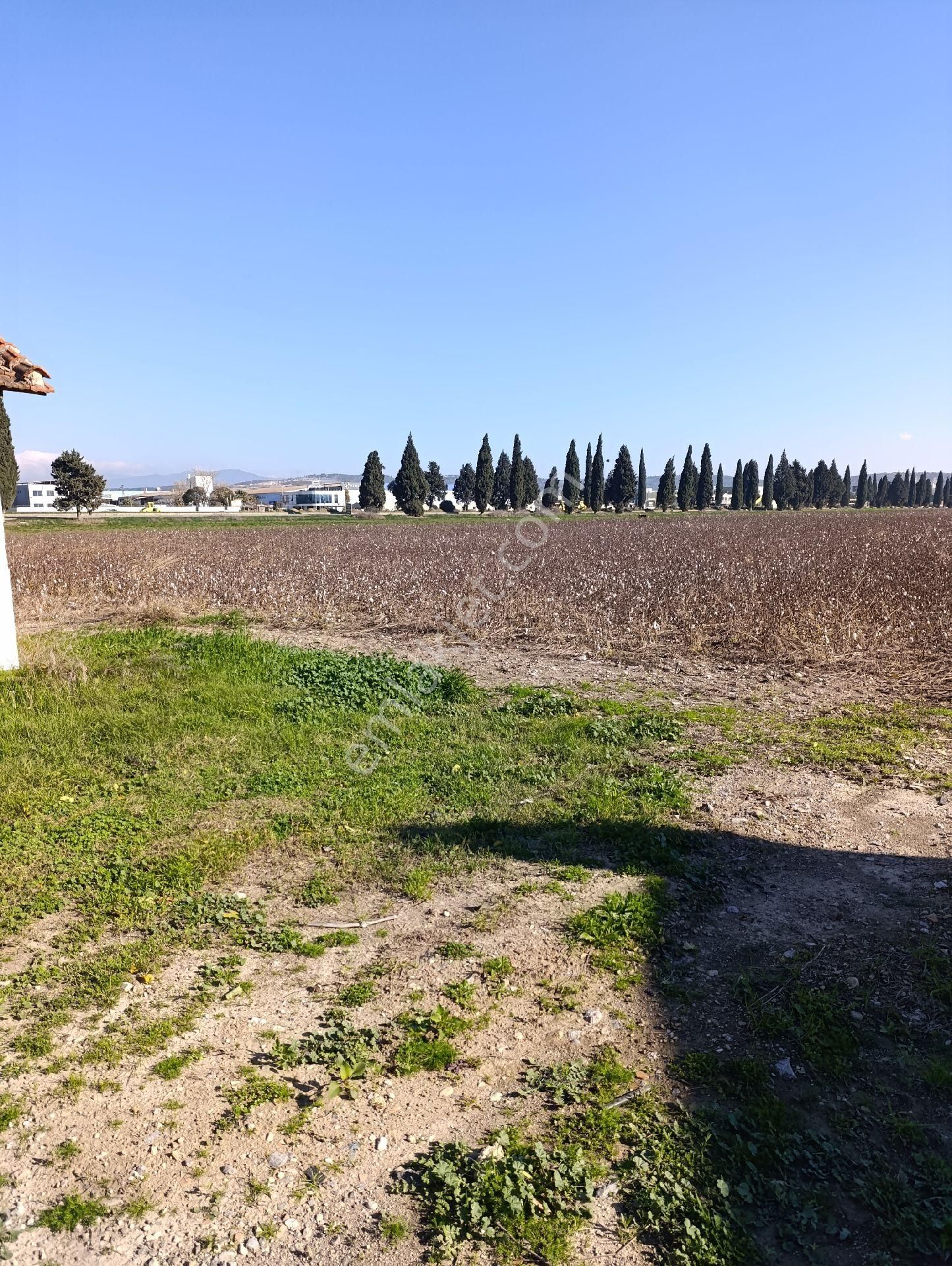 İzmir Torbalı Yazıbaşında Satılık Tarla - Görsel 22
