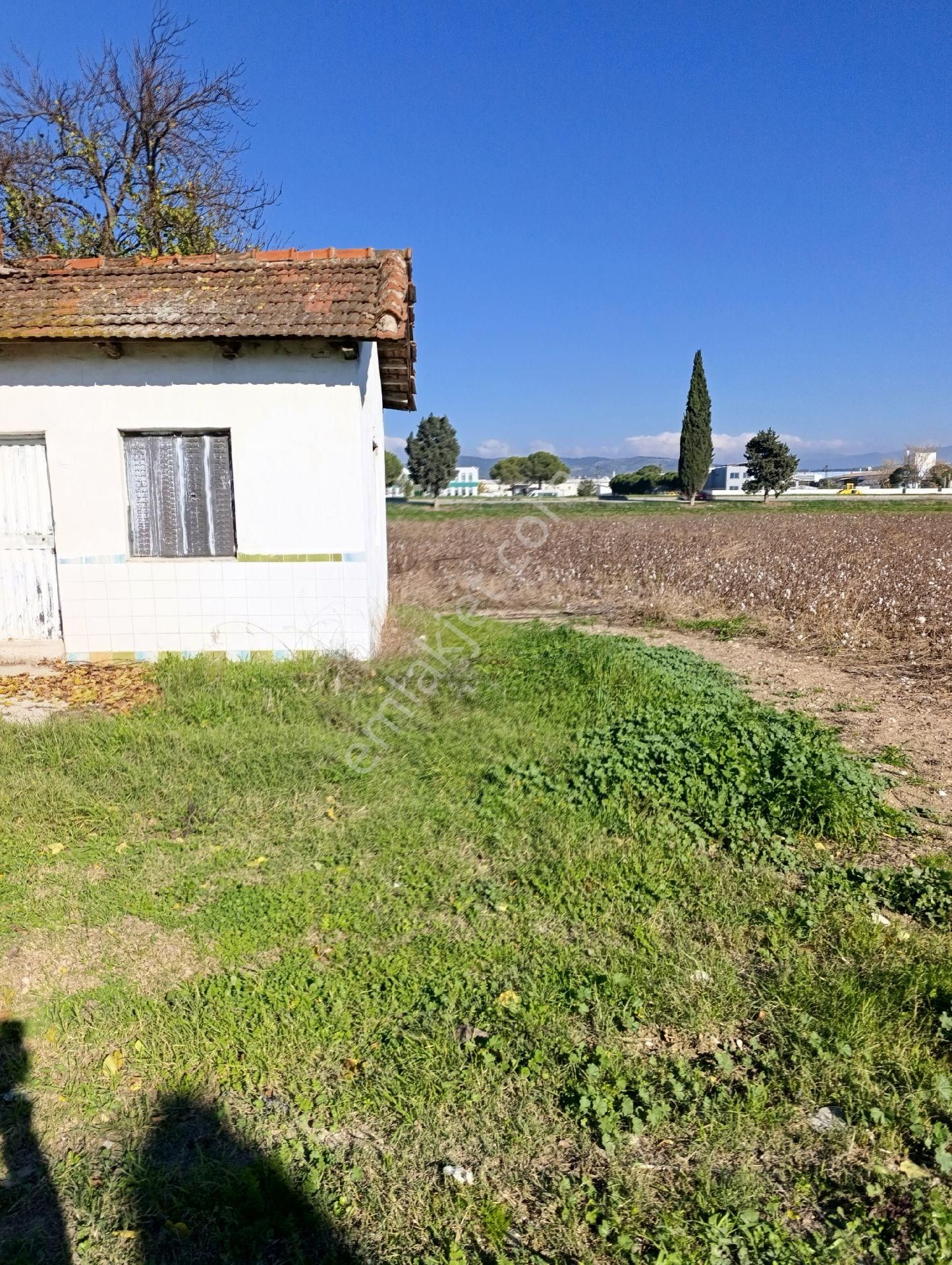 İzmir Torbalı Yazıbaşında Satılık Tarla - Görsel 20