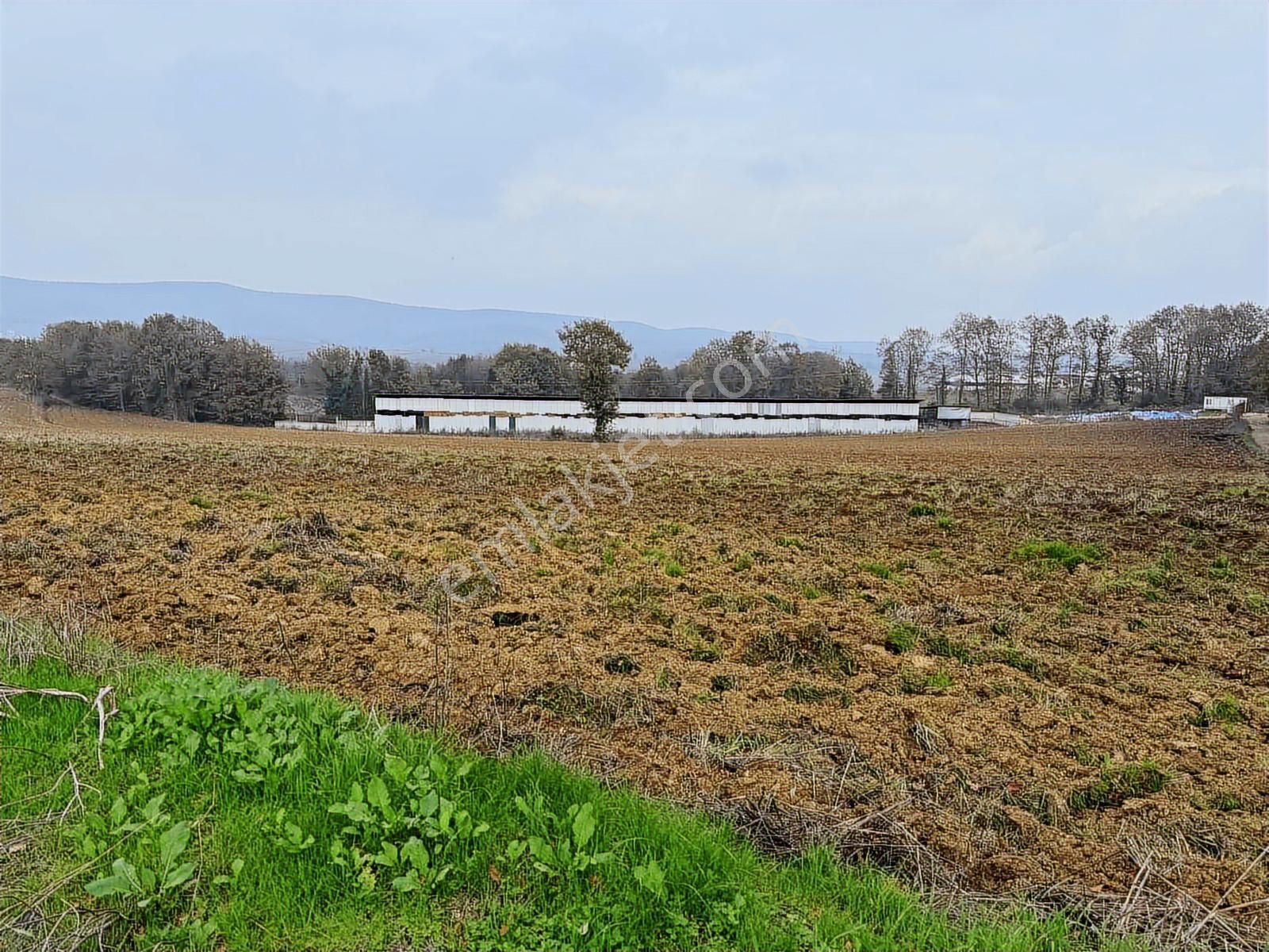 Tapu54 | Adapazarı Karadere Mah. Satılık 2247 M2 Tarla - Görsel 12