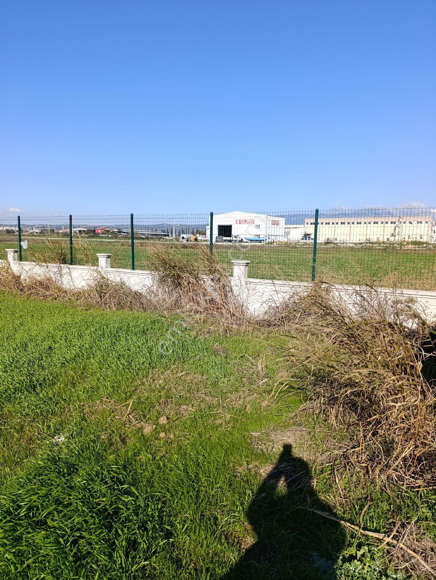 İzmir Torbalı Yazıbaşında Sanayi İmarından Çıkma Tarla. - Görsel 11