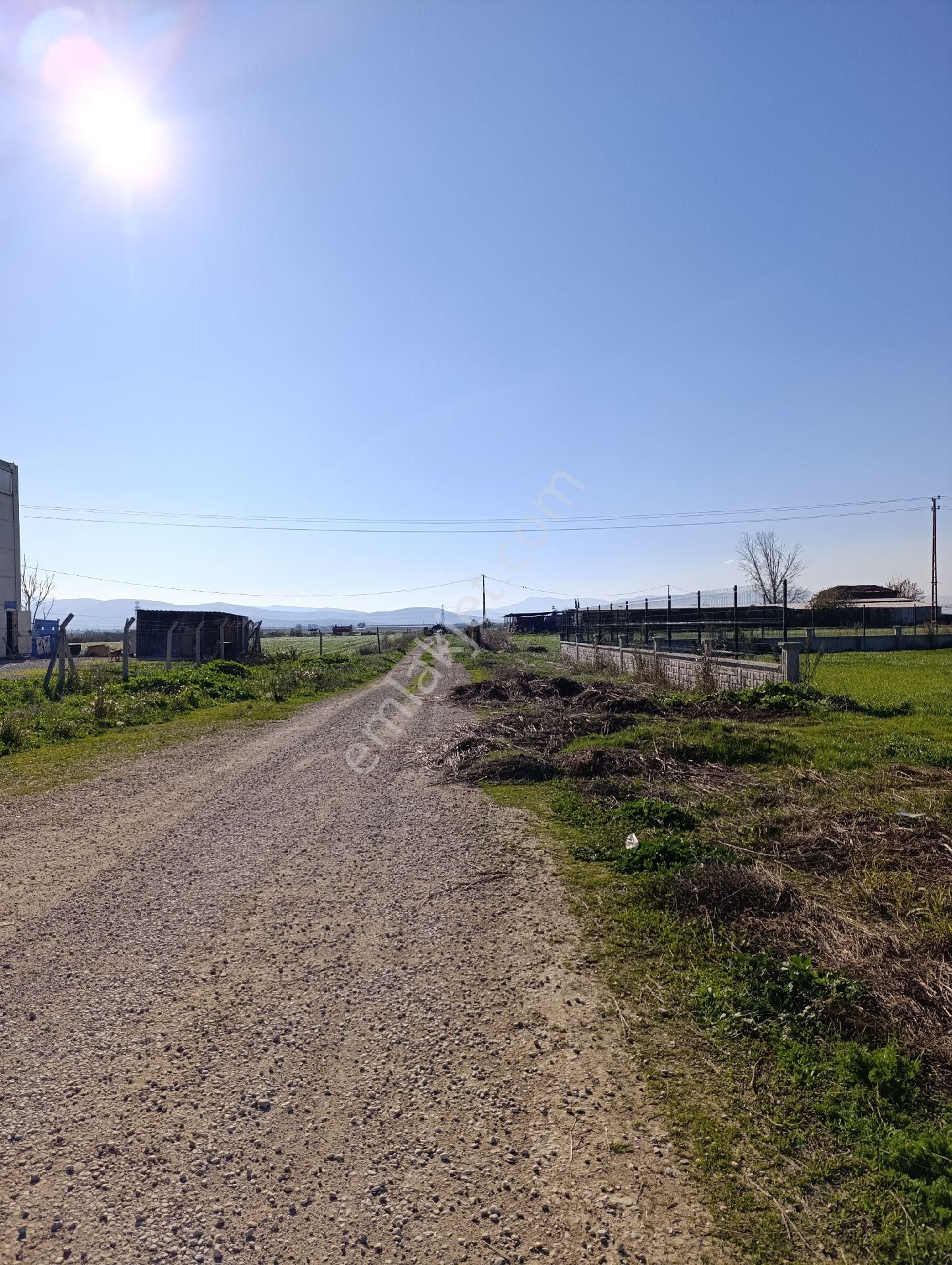 İzmir Torbalı Yazıbaşında Sanayi İmarından Çıkma Tarla. - Görsel 20