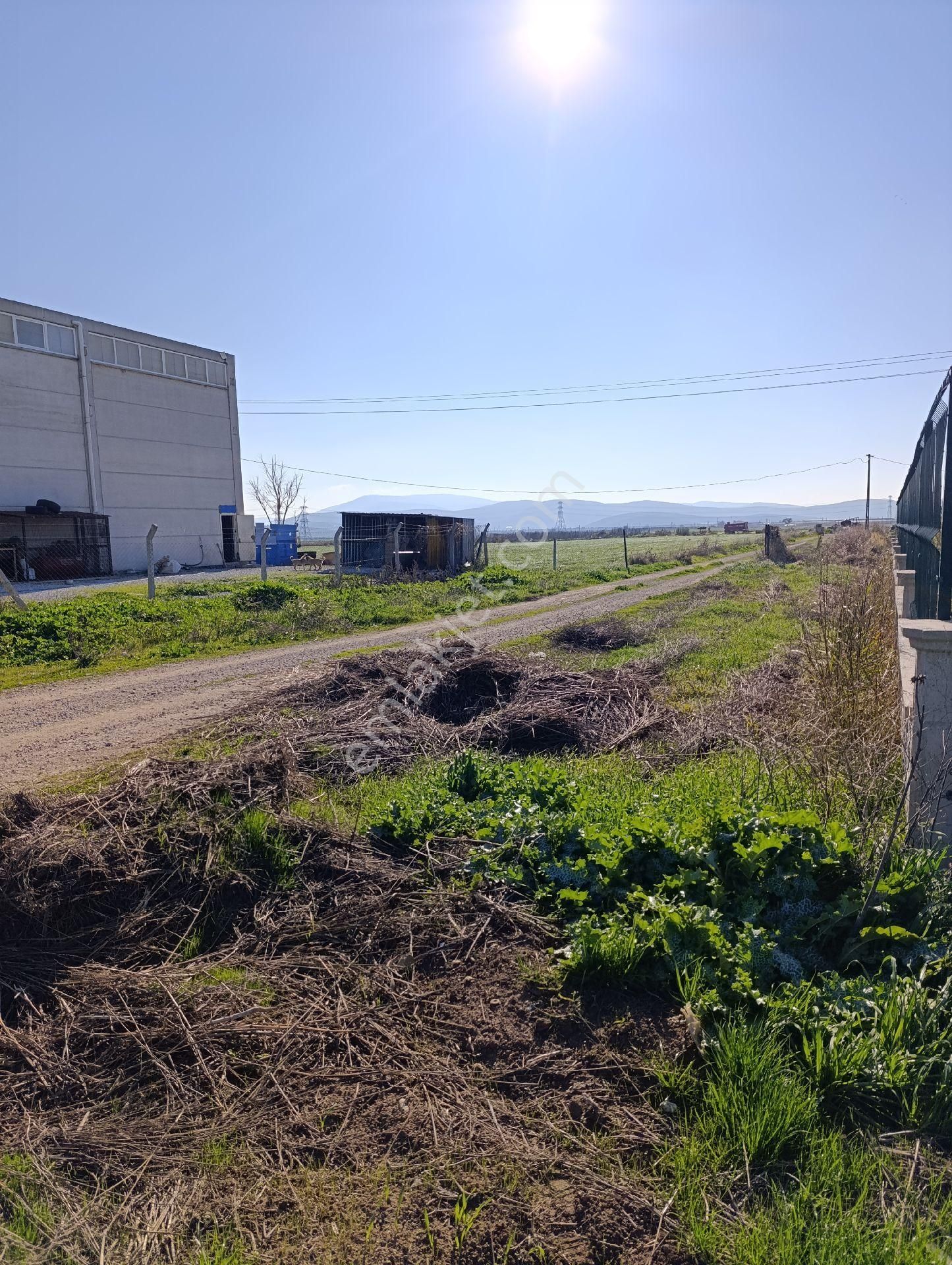 İzmir Torbalı Yazıbaşında Sanayi İmarından Çıkma Tarla. - Görsel 17