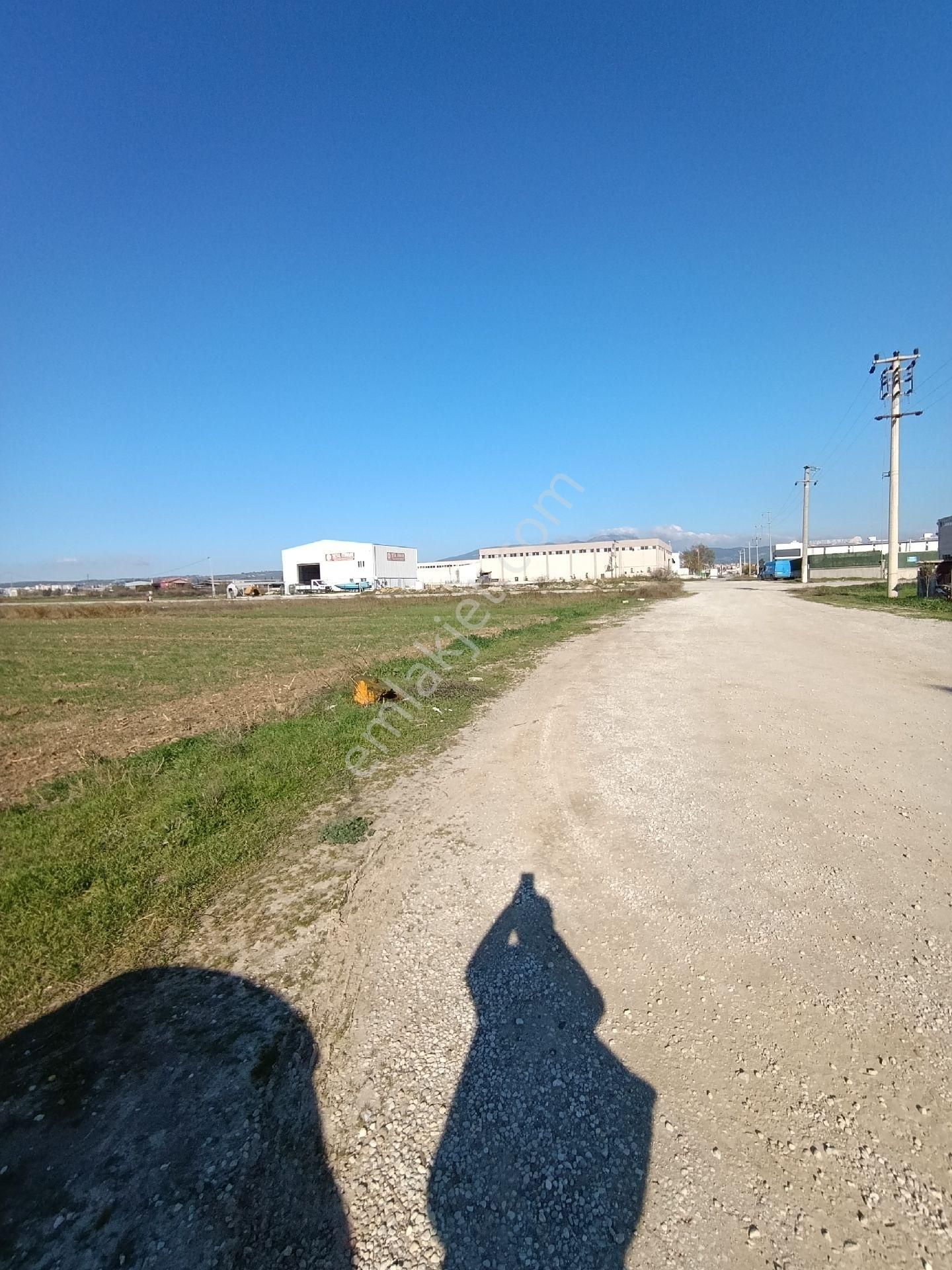 İzmir Torbalı Yazıbaşında Sanayi İmarından Çıkma Tarla. - Görsel 2