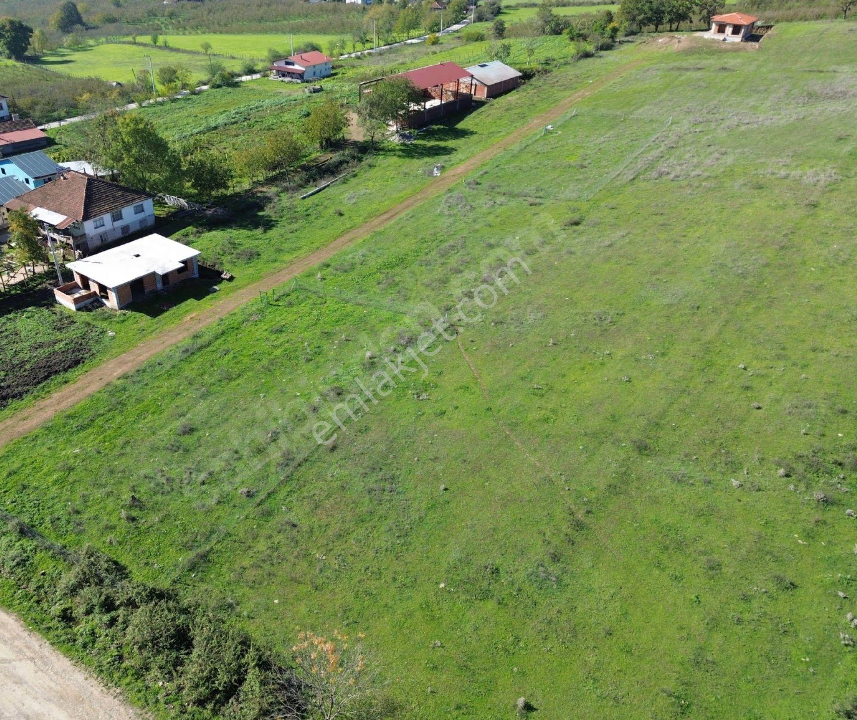 Emlak Evim'den Yeşilvadi Mah.de İmarlı 730 M²arsa - Görsel 9
