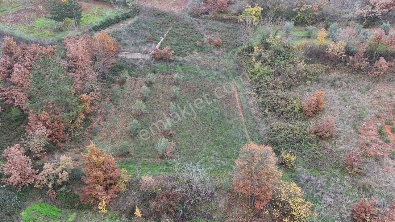 Bursa Kestel Erdoğan Mahallesi 870 M² Tek Tapu Hobi Bahçesi - Görsel 3