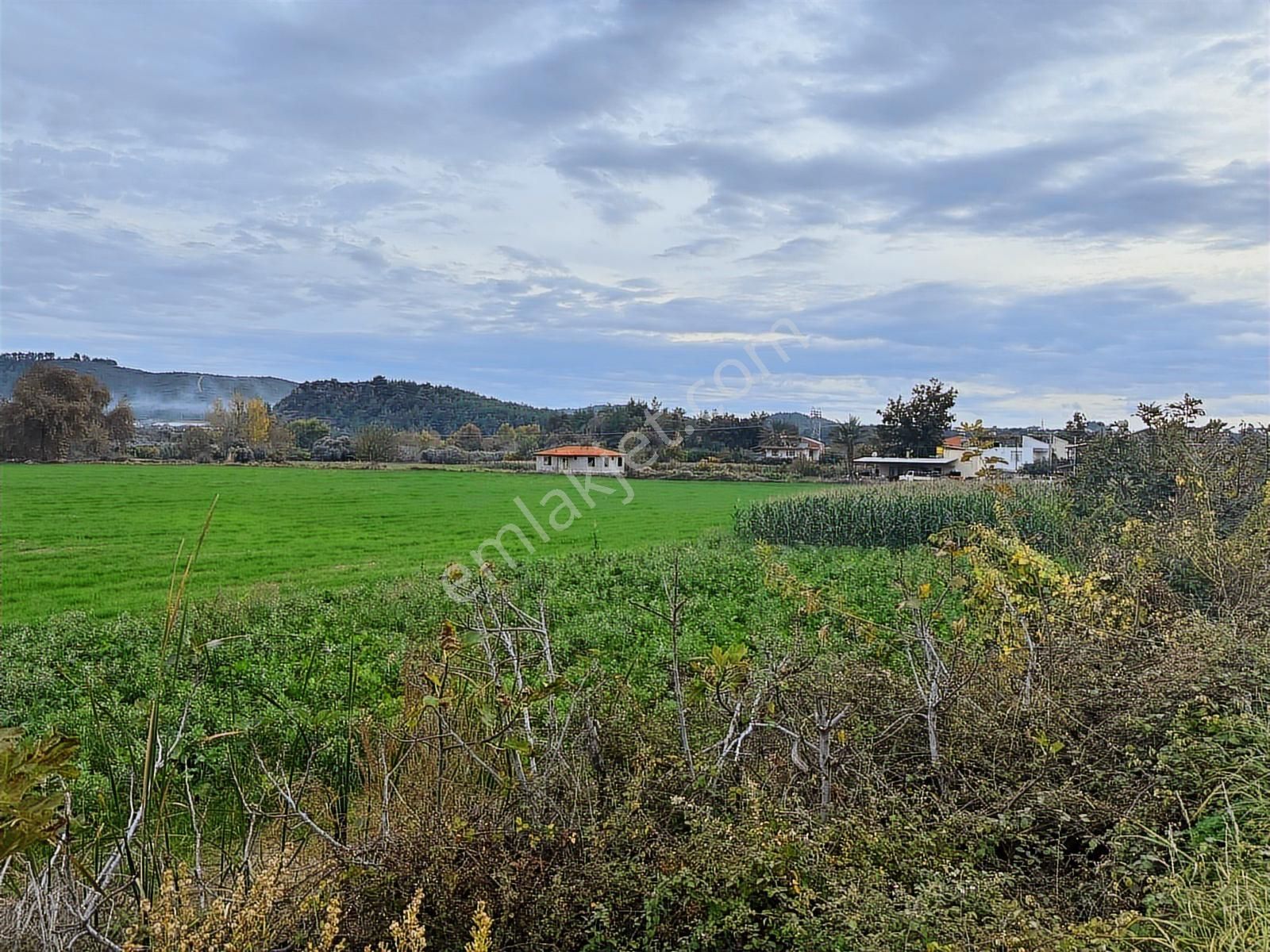 Antalya Manavgat Odaönü Mahallesi Satılık Tarla - Görsel 9