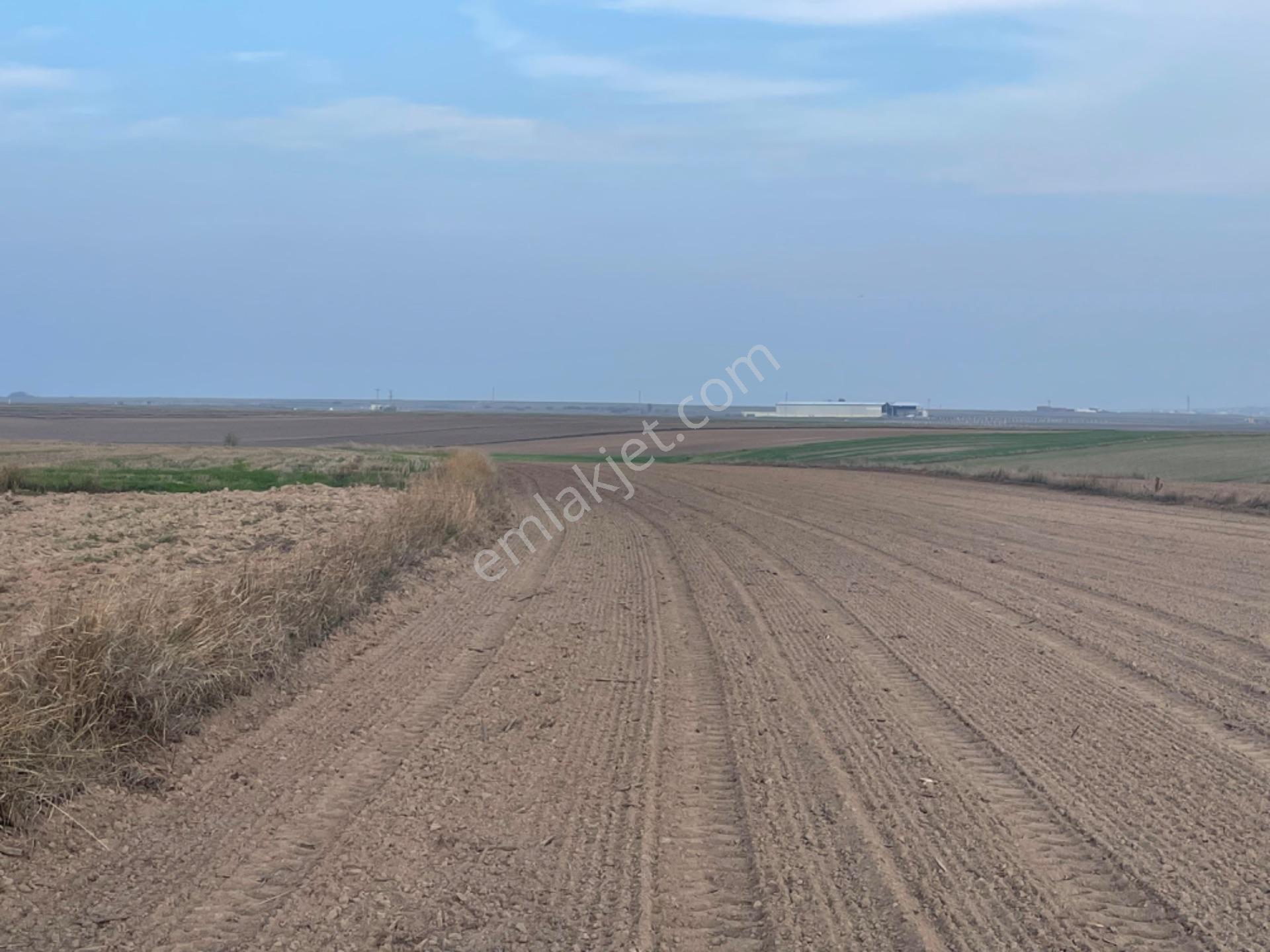 Tekirdağ Saray Beyazköyde Satılık 254 M2 Çaplı Köy Manzaralı Fırsat Arsa - Görsel 5