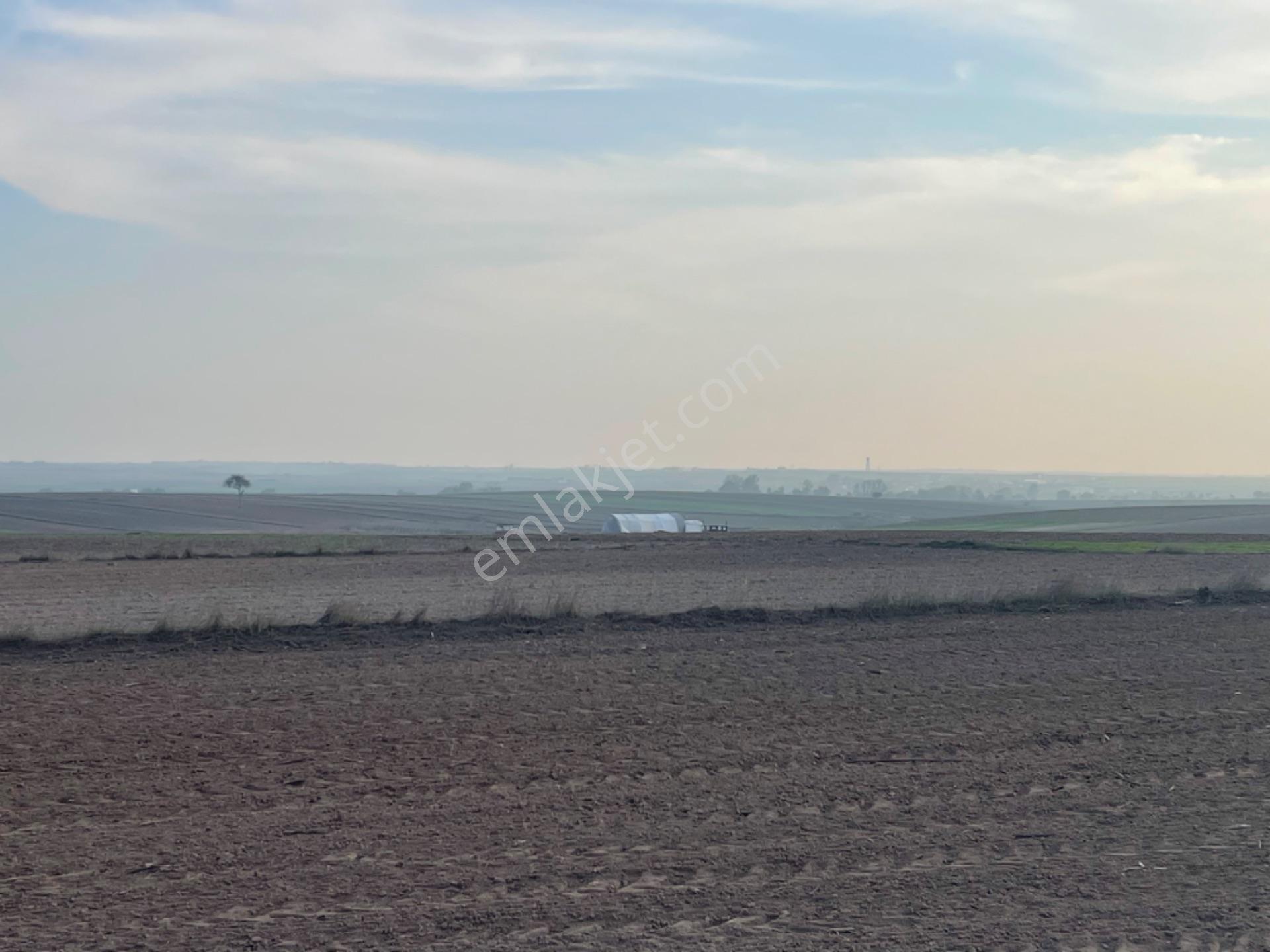Tekirdağ Saray Beyazköyde Satılık 254 M2 Çaplı Köy Manzaralı Fırsat Arsa - Görsel 8