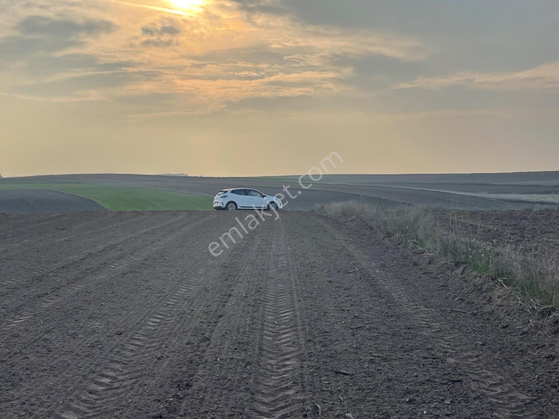 Tekirdağ Saray Beyazköyde Satılık 254 M2 Çaplı Köy Manzaralı Fırsat Arsa - Görsel 7