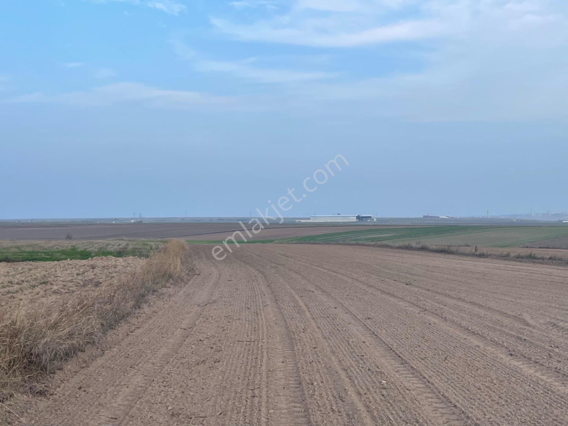 Tekirdağ Saray Beyazköyde Satılık 254 M2 Çaplı Köy Manzaralı Fırsat Arsa - Görsel 10