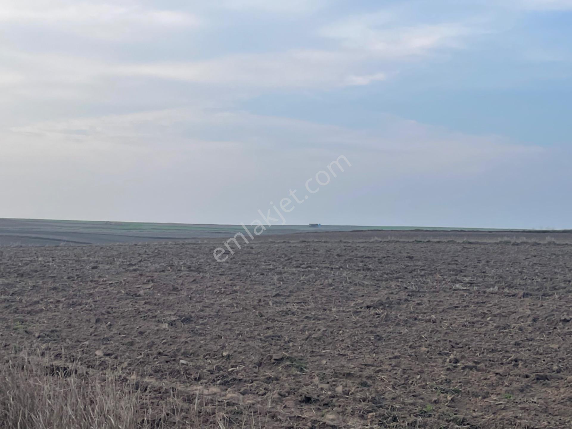 Tekirdağ Saray Beyazköyde Satılık 254 M2 Çaplı Köy Manzaralı Fırsat Arsa - Görsel 6