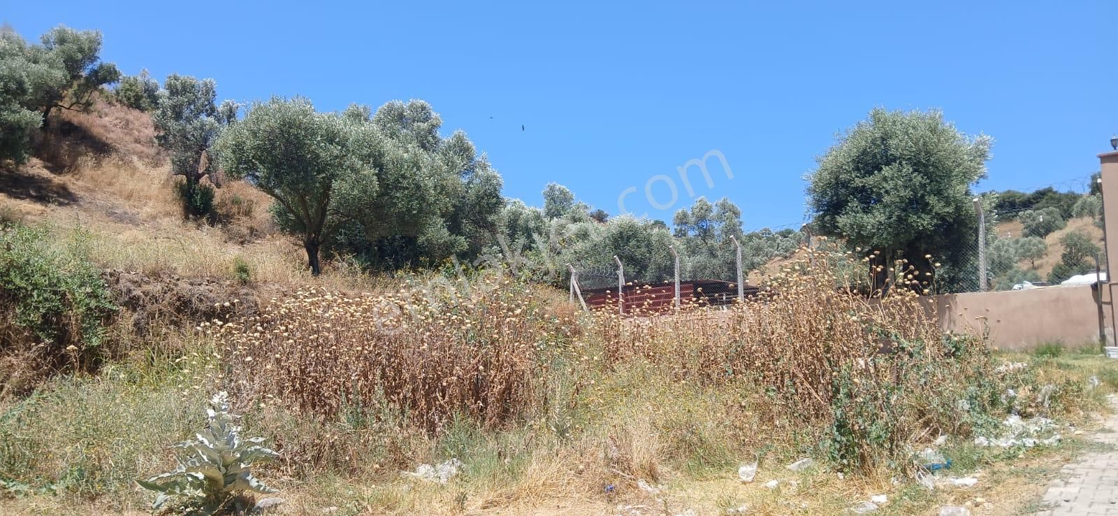 Aydın Nazilli Bozyurt Köyünde Satılık Müstakil Ev - Görsel 5