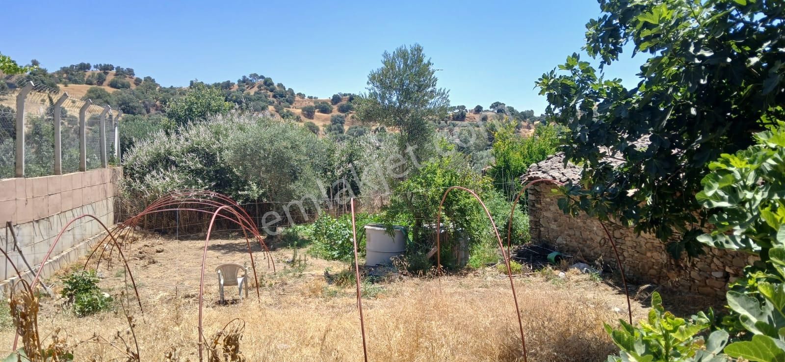 Aydın Nazilli Bozyurt Köyünde Satılık Müstakil Ev - Görsel 3