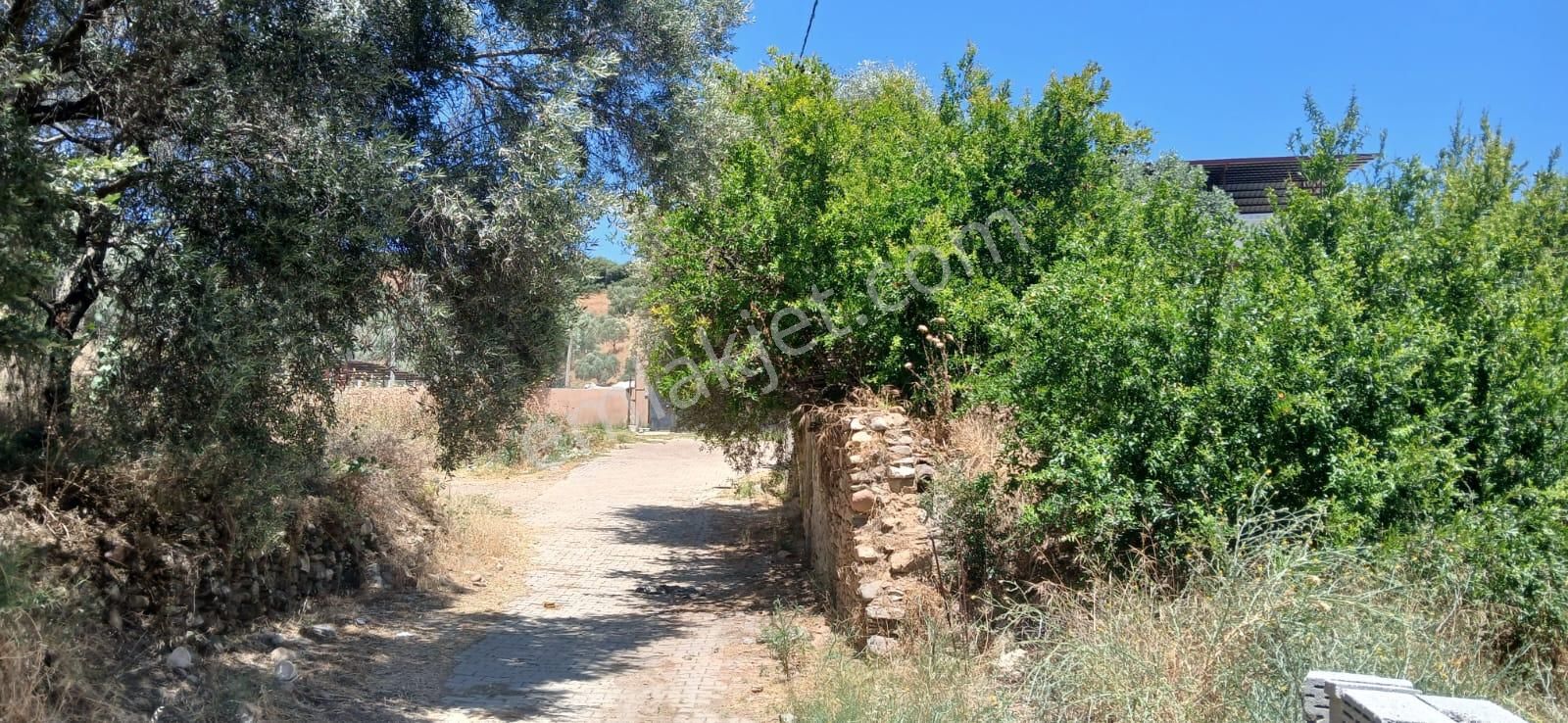 Aydın Nazilli Bozyurt Köyünde Satılık Müstakil Ev - Görsel 2