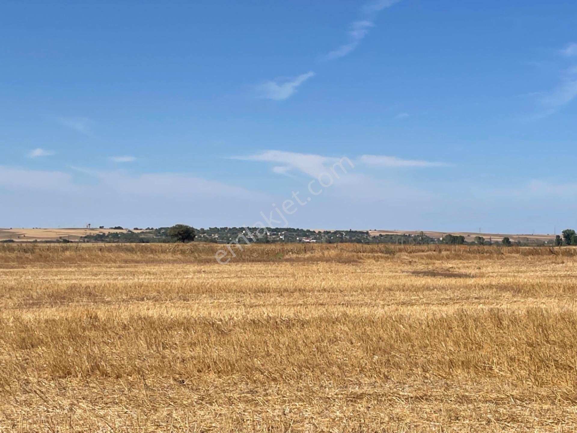 Tekirdağ Hayrabolun’da 938 Metre Arsa Cek Senet Vade Araba Takası Olur