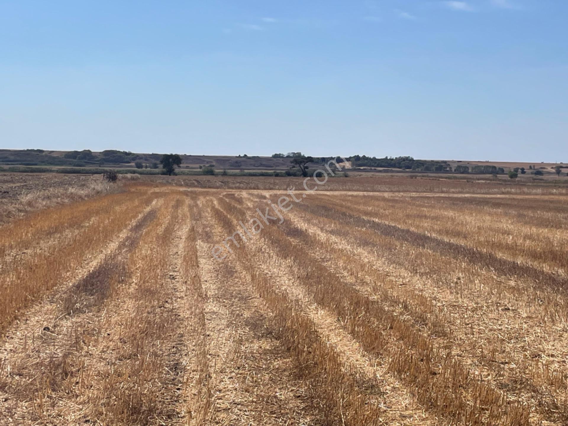 Tekirdağ Hayrabolun’da 938 Metre Arsa Cek Senet Vade Araba Takası Olur - Görsel 9