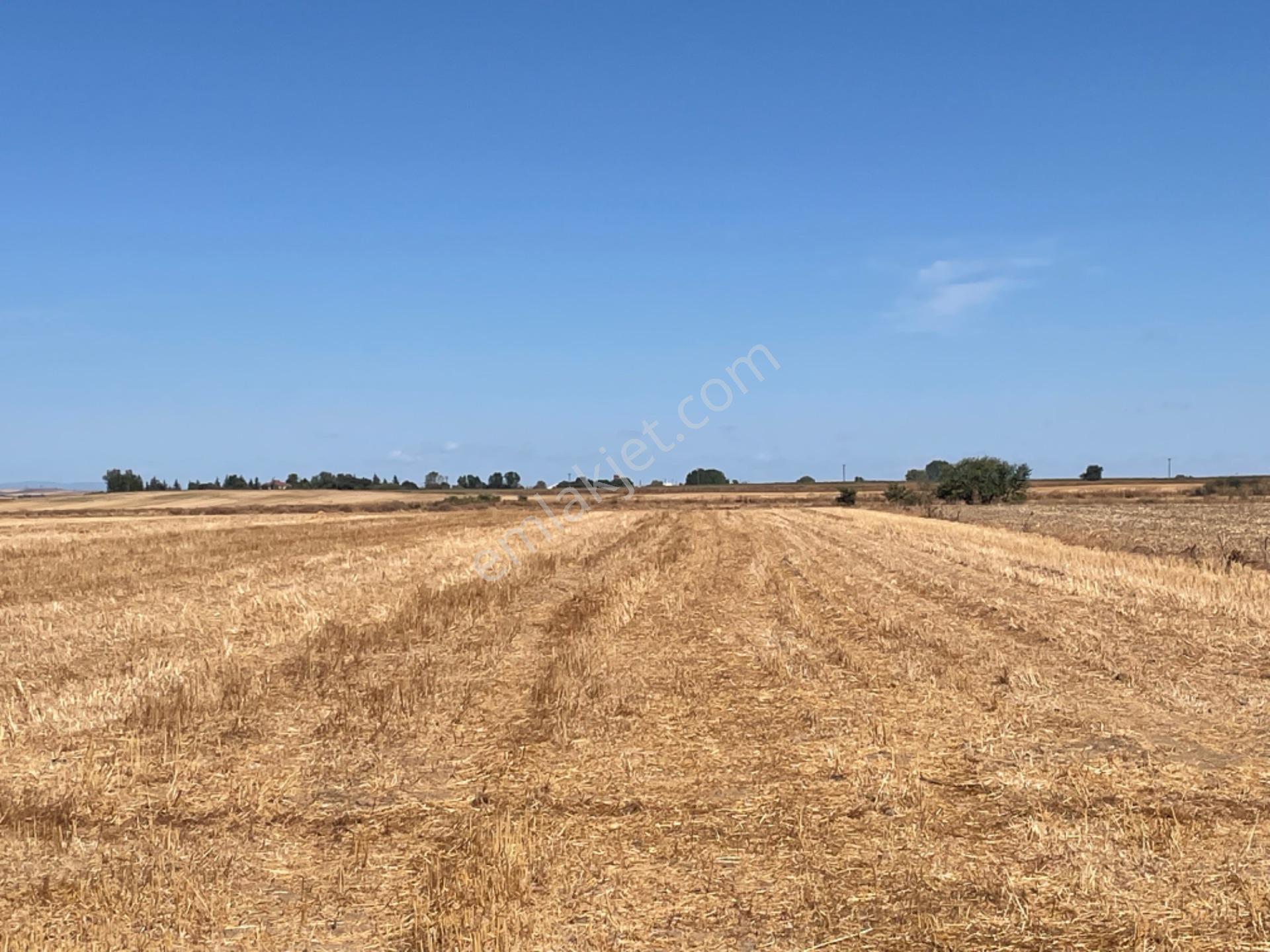 Tekirdağ Hayrabolun’da 938 Metre Arsa Cek Senet Vade Araba Takası Olur - Görsel 7