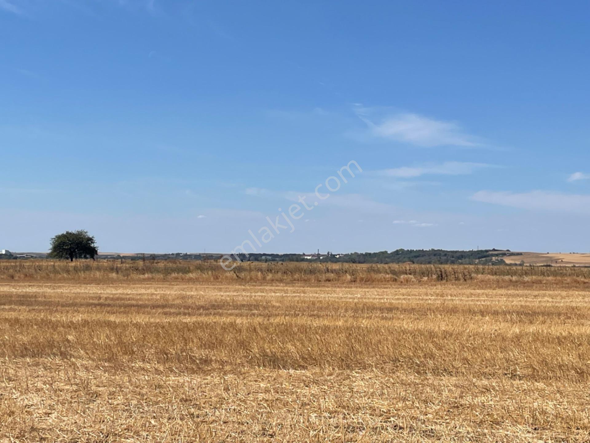 Tekirdağ Hayrabolun’da 938 Metre Arsa Cek Senet Vade Araba Takası Olur - Görsel 3