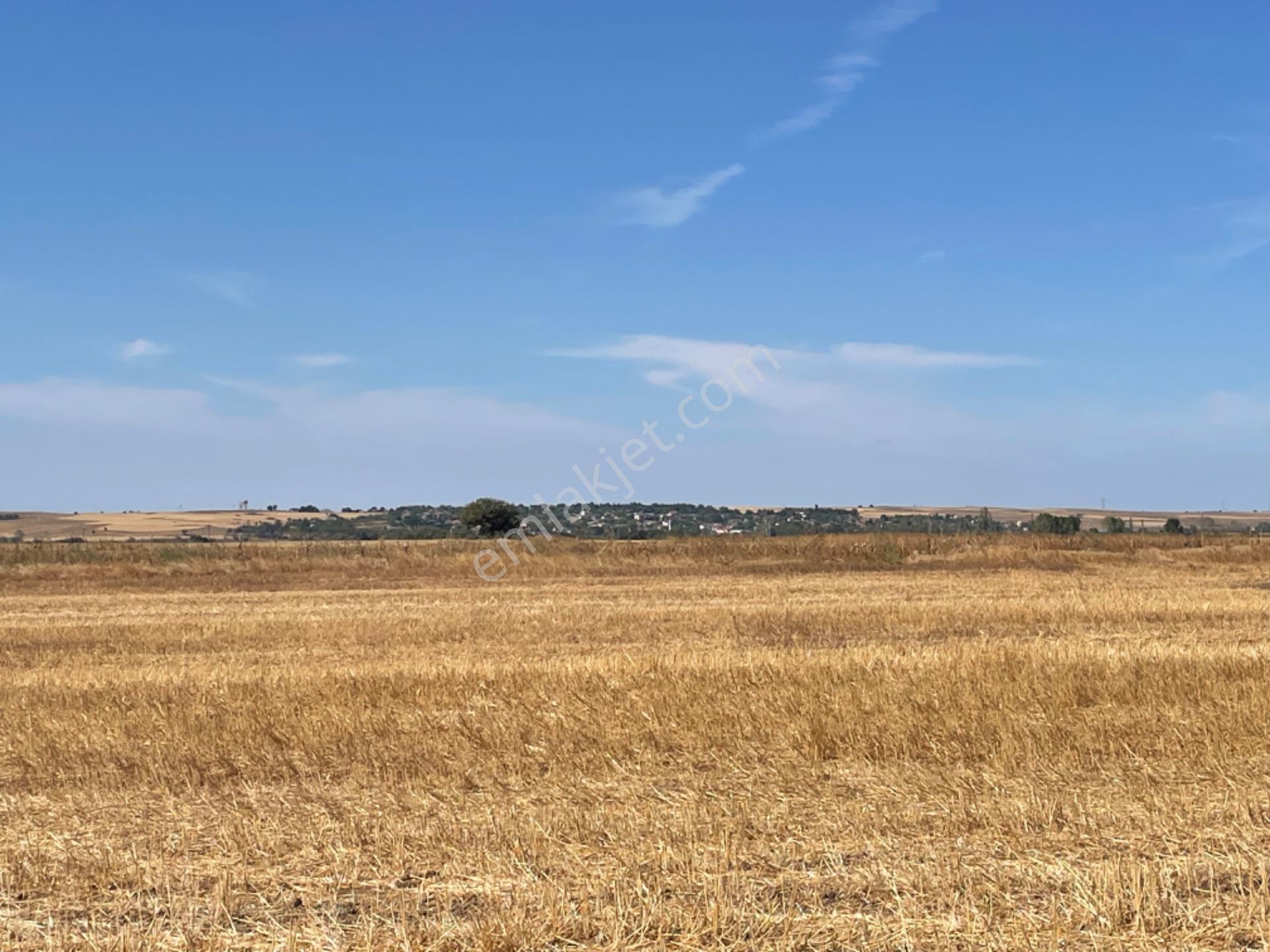 Tekirdağ Hayrabolun’da 938 Metre Arsa Cek Senet Vade Araba Takası Olur - Görsel 2