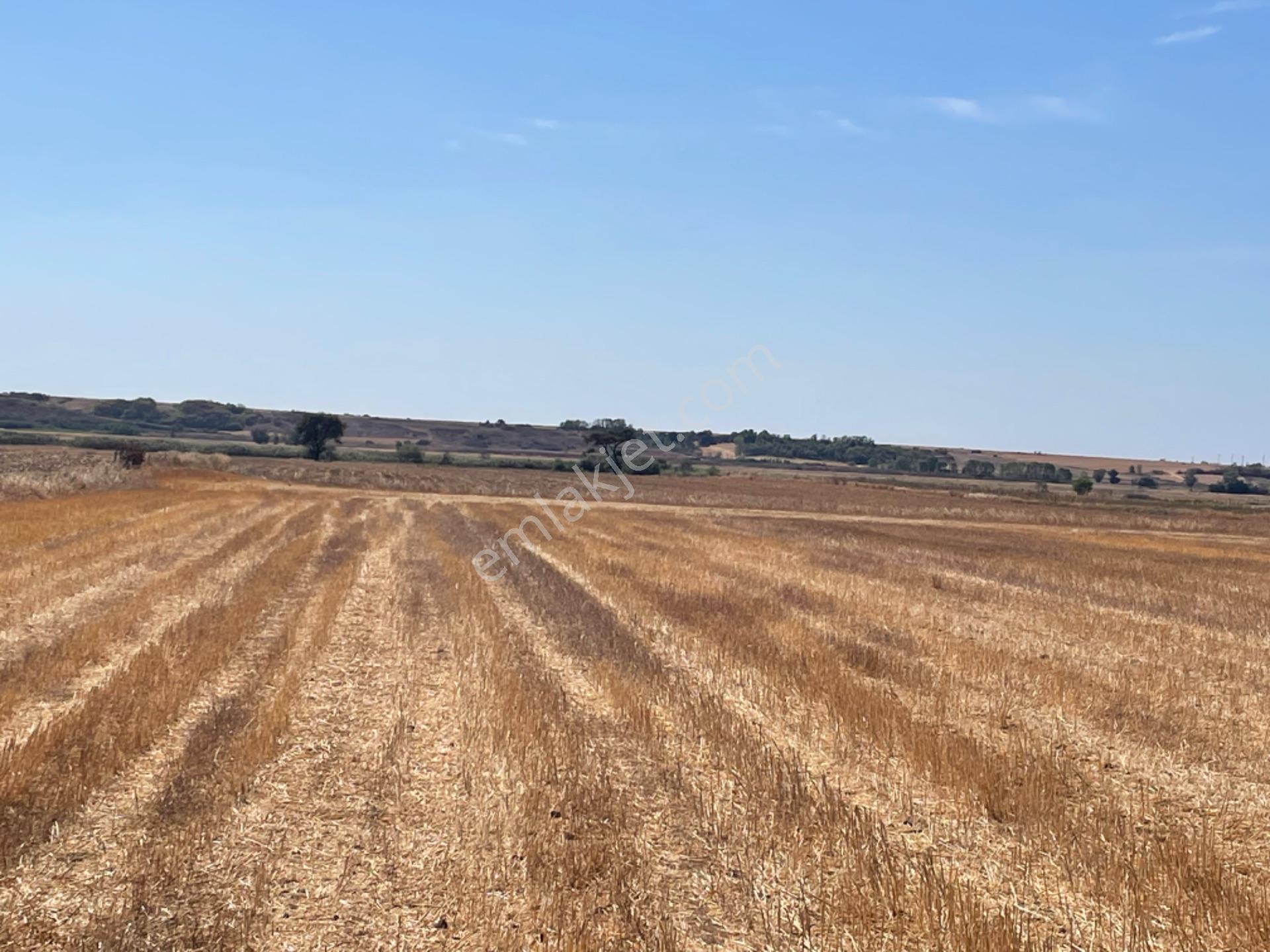 Tekirdağ Hayrabolun’da 938 Metre Arsa Cek Senet Vade Araba Takası Olur - Görsel 5