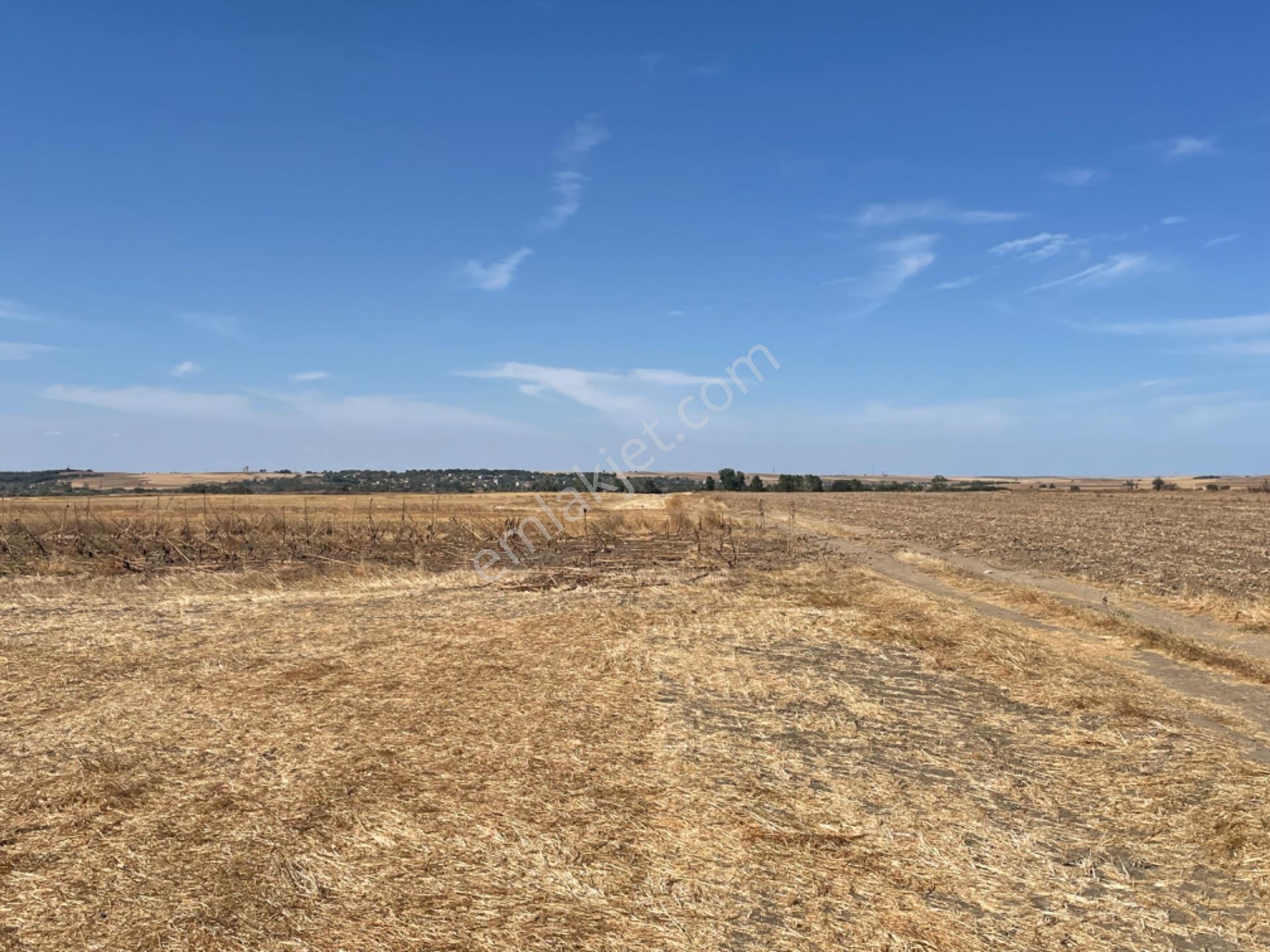 Tekirdağ Hayrabolun’da 938 Metre Arsa Cek Senet Vade Araba Takası Olur - Görsel 6