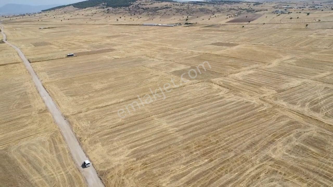 Antalya Korkuteli Bozova Mah. 1.900 M2 Resmi Yolu Var - Görsel 16