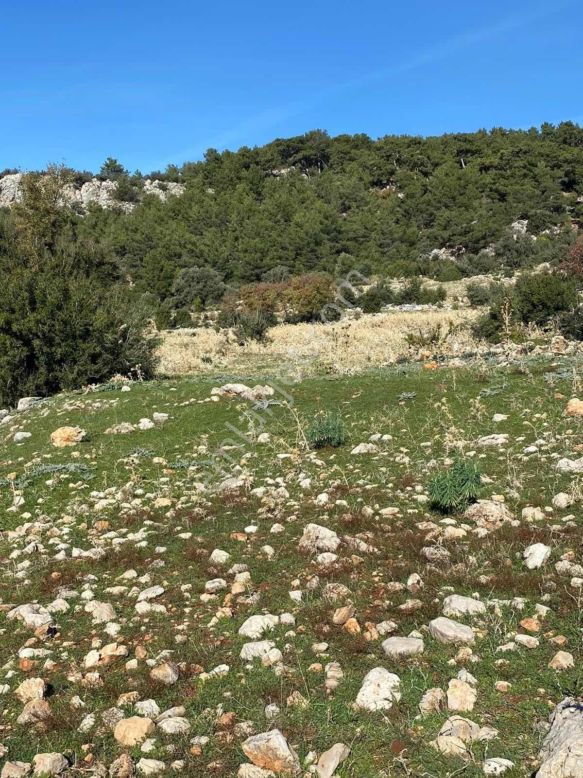 Antalya Kaş Çavdır Mah. Satılık 2.457m2 Tarla