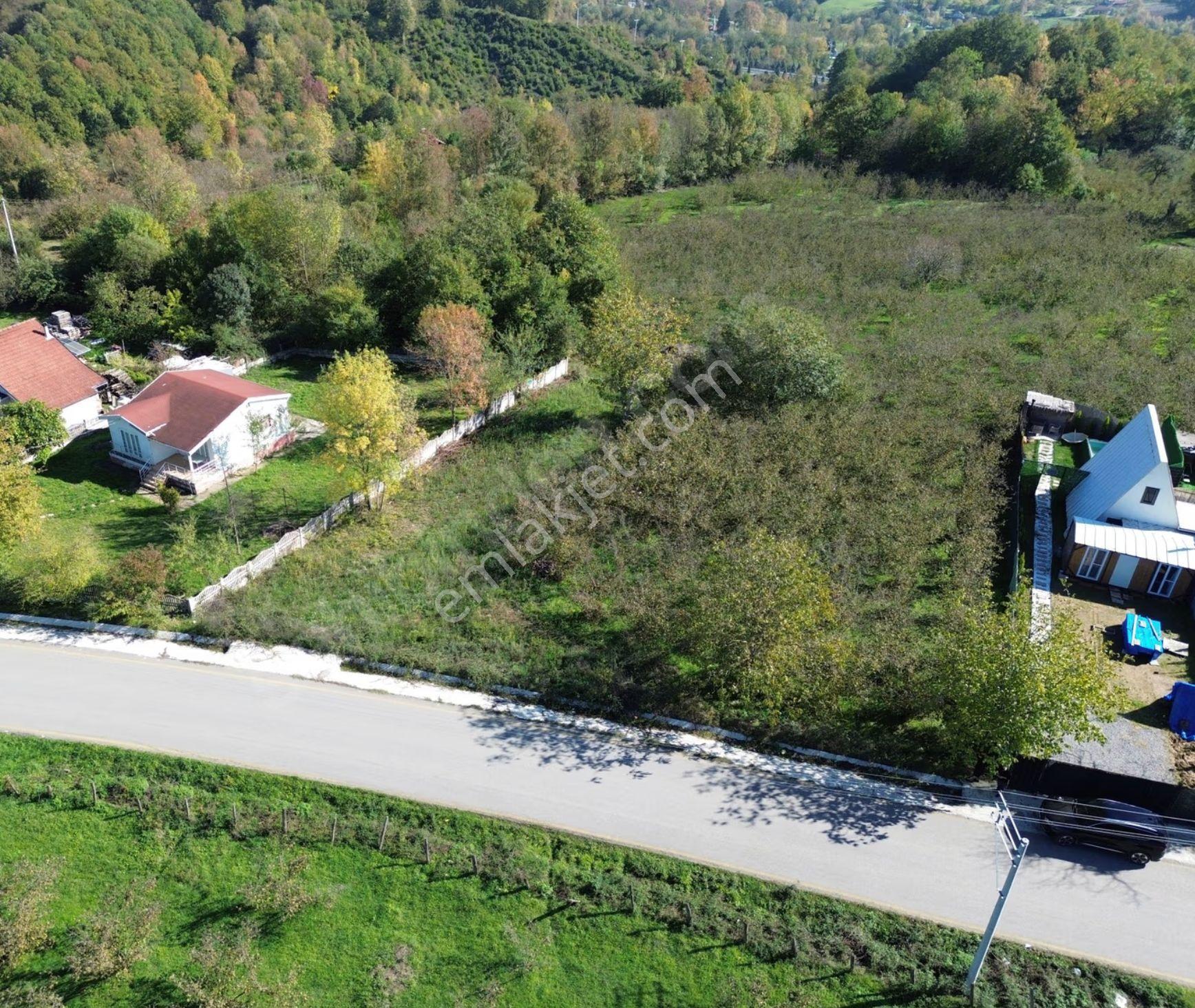 Emlak Evim'den Kalayık Mahallesinde İmarlı 1019 M2 Arsa - Görsel 2