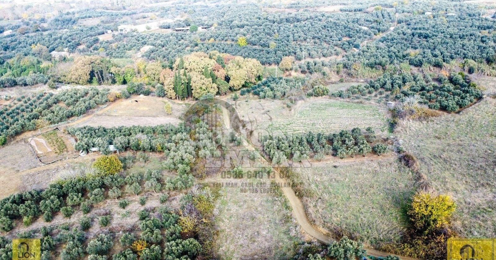 🟨⬛lıon Emlak'tan Erdek Karşıyaka Mahallesi'nde Musalla Mevkiinde 750m² Satılık Arazi⬛🟨 - Görsel 9