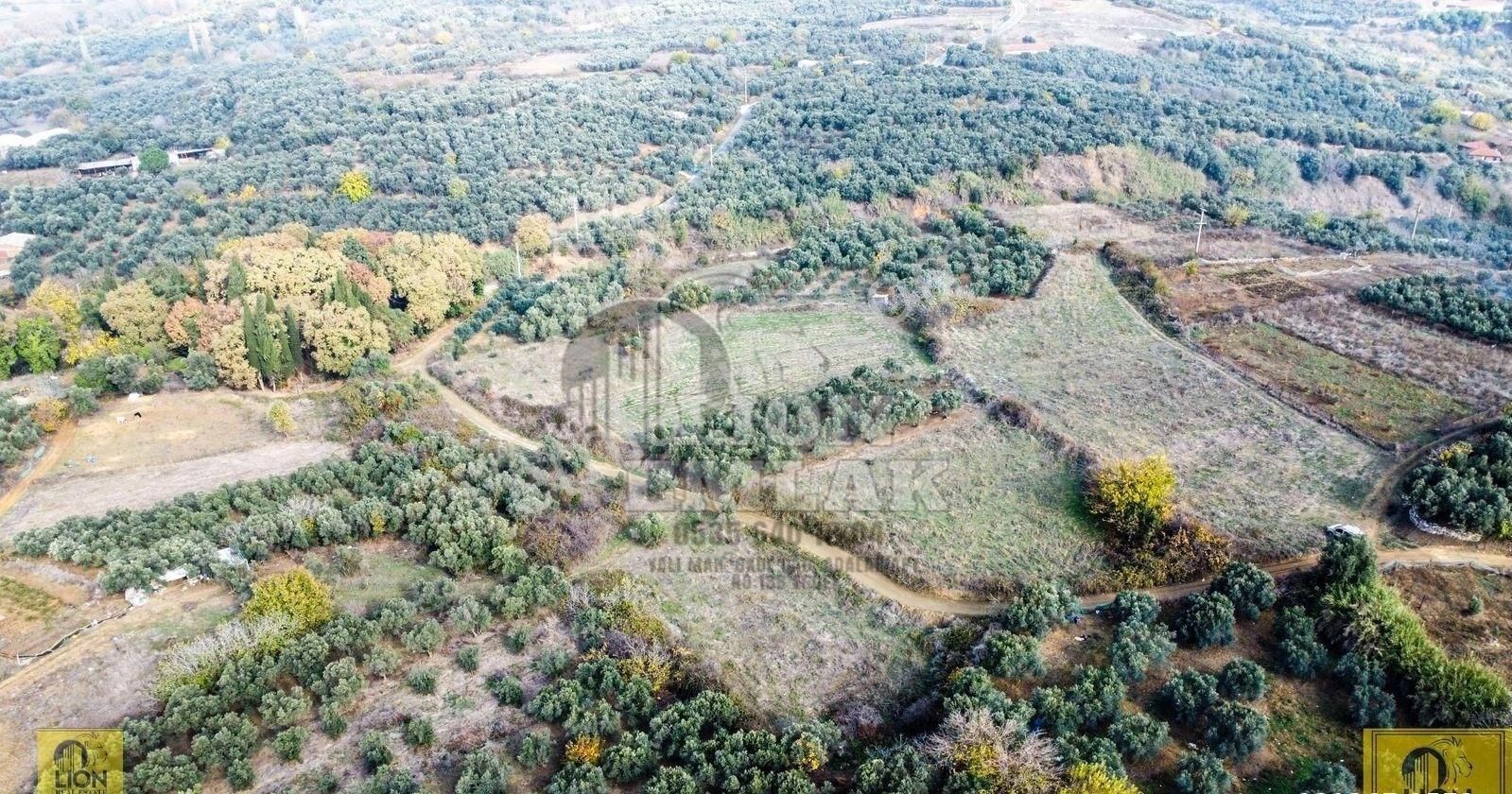 🟨⬛lıon Emlak'tan Erdek Karşıyaka Mahallesi'nde Musalla Mevkiinde 750m² Satılık Arazi⬛🟨 - Görsel 16