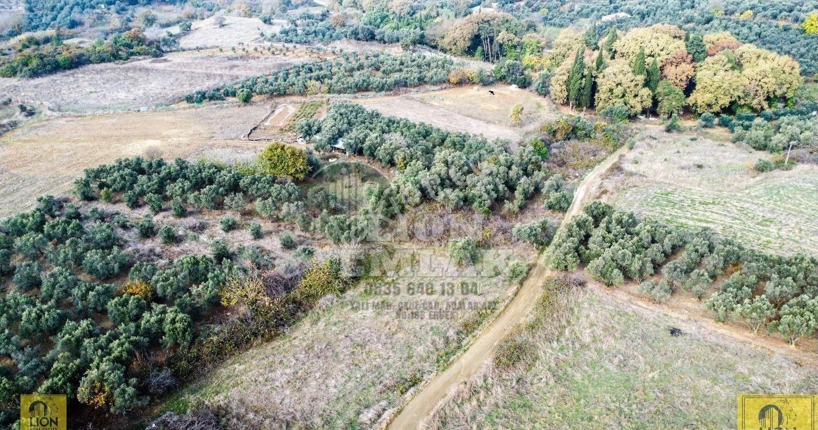 🟨⬛lıon Emlak'tan Erdek Karşıyaka Mahallesi'nde Musalla Mevkiinde 750m² Satılık Arazi⬛🟨 - Görsel 7