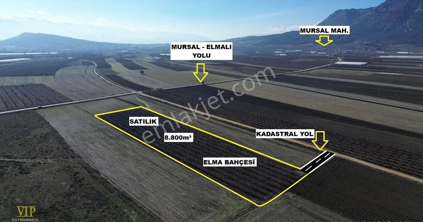 Vip Gayrimenkul'den Tavullar Mah. 8.800m² Yetişkin Elma Bahçesi - Görsel 17