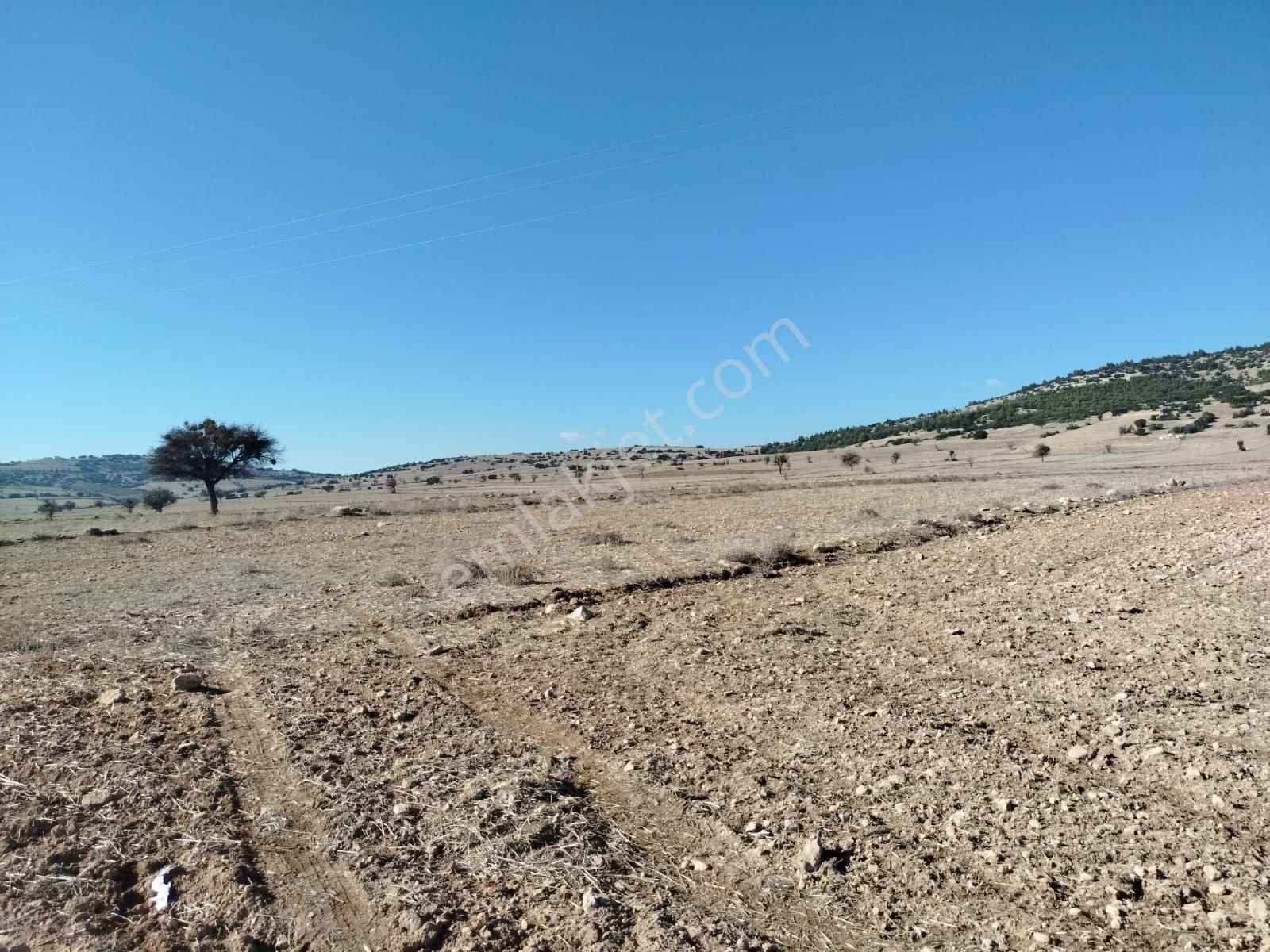 Antalya Korkuteli Büyükköy Satılık Manzaralı Arazi - Görsel 2