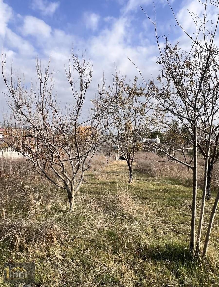 Döşemealtı Mellidagında 2.500m2 Bahçe - Görsel 3