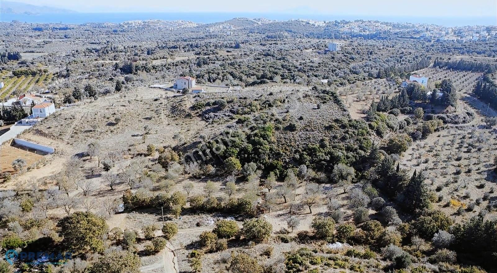 Premar Datça Satılık 3218m2 Bademlik - Görsel 3