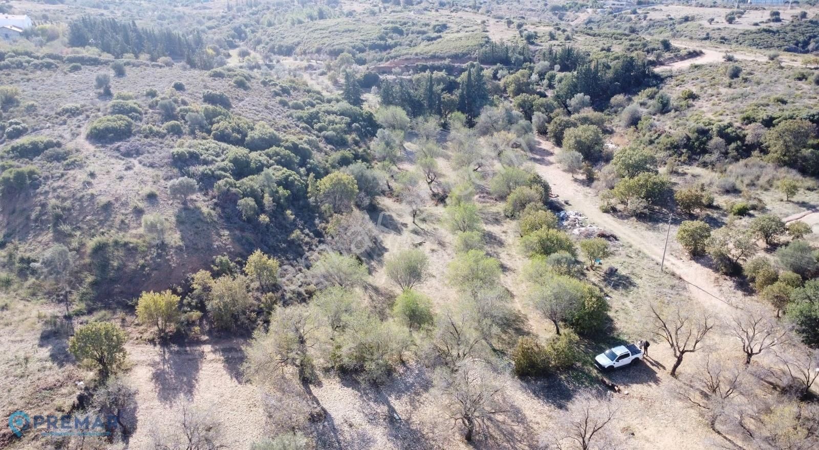 Premar Datça Satılık 3218m2 Bademlik - Görsel 2
