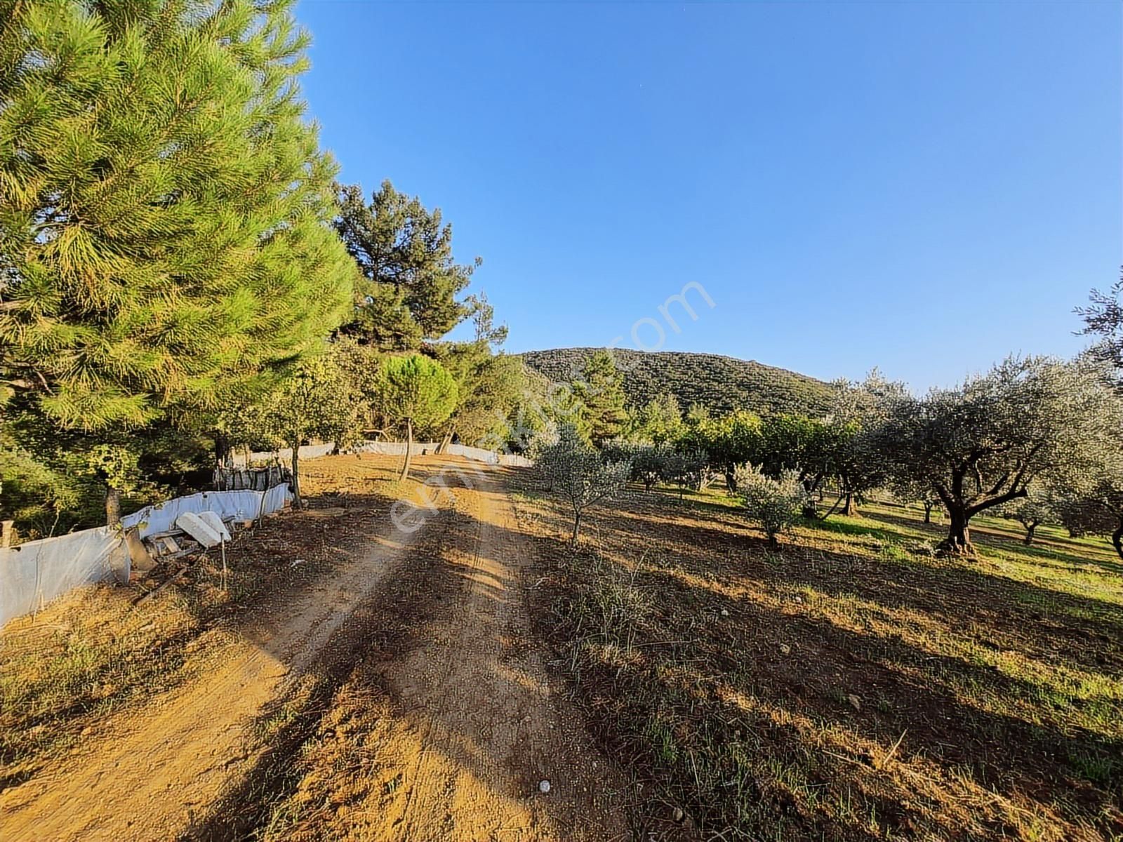 Lenora Gayrimenkül'den Yazıbaşı Mahallesinde Satılık Tarla - Görsel 9