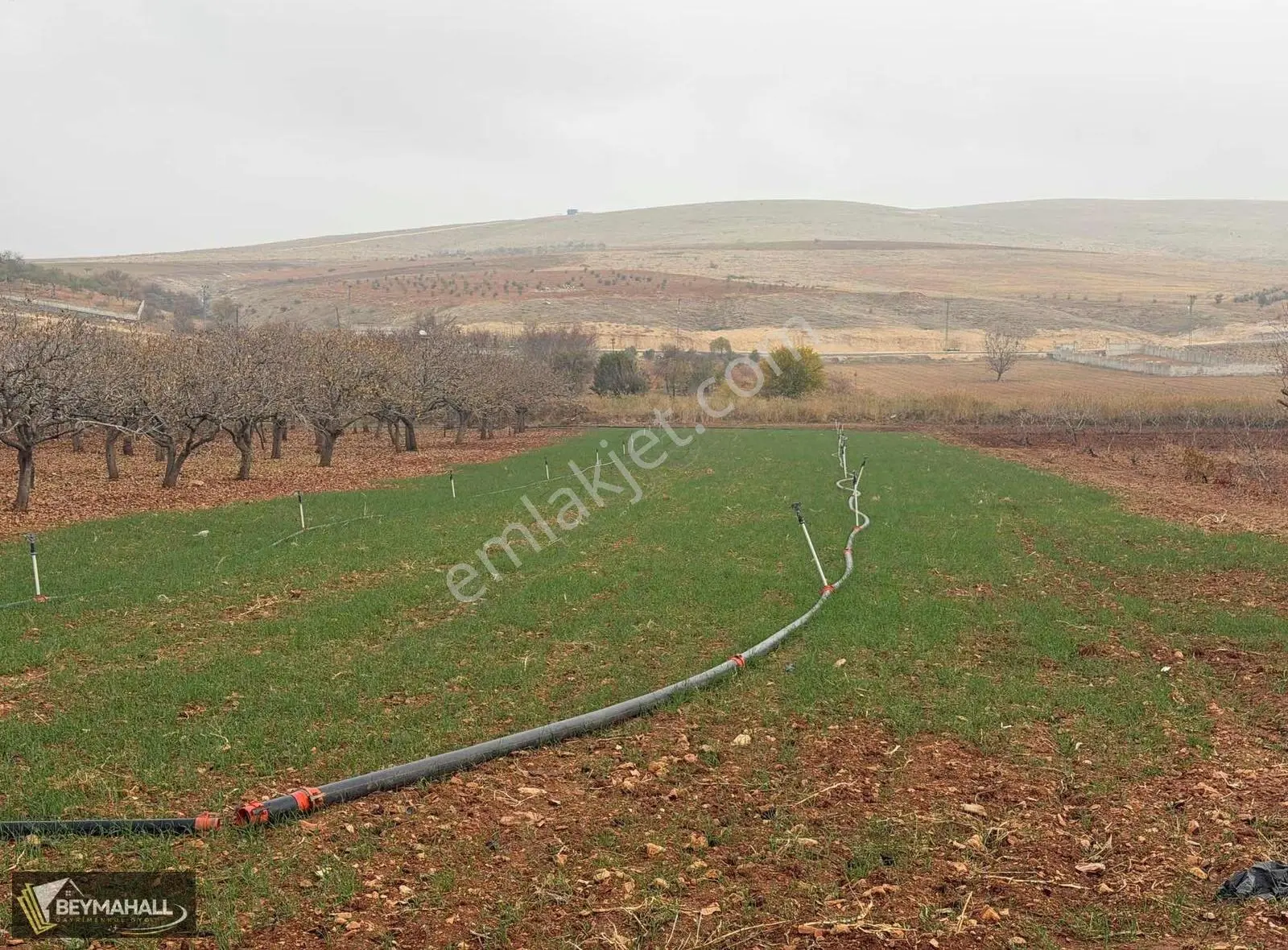 Beymahall Bedirkent Ayvat Gölü Mevki İmar Yakını Arazi