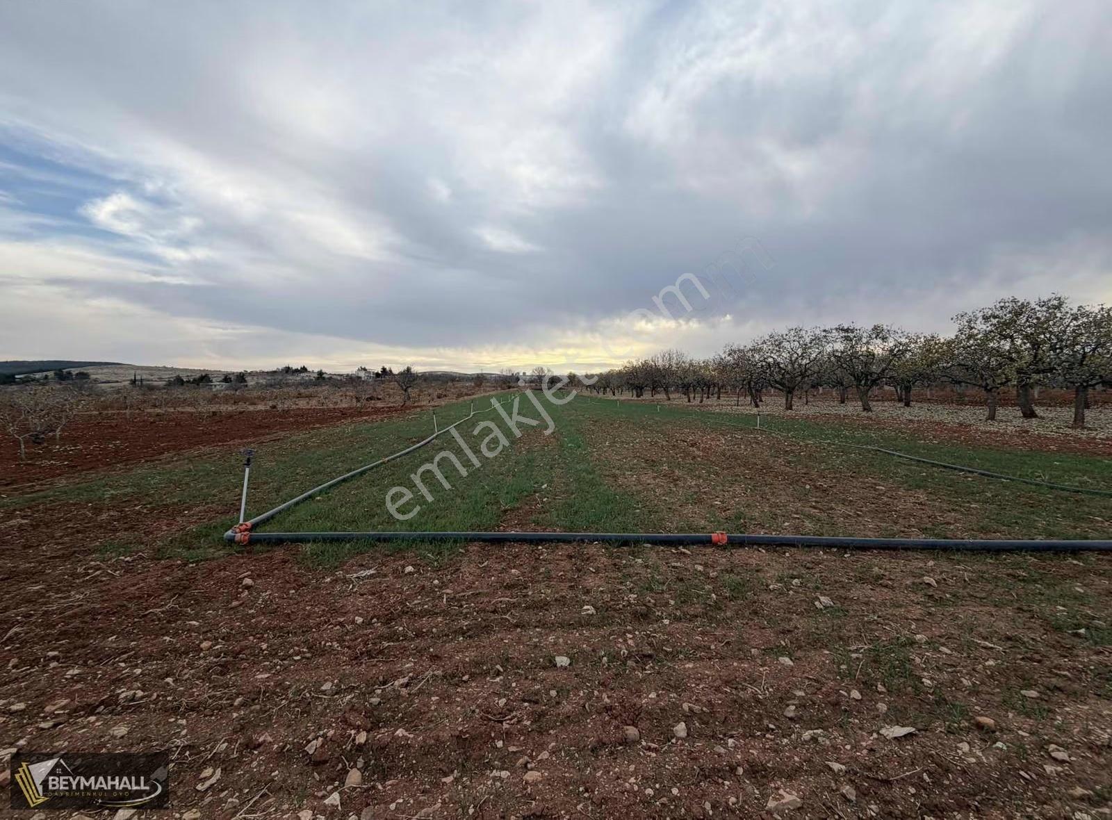 Beymahall Bedirkent Ayvat Gölü Mevki İmar Yakını Arazi - Görsel 4