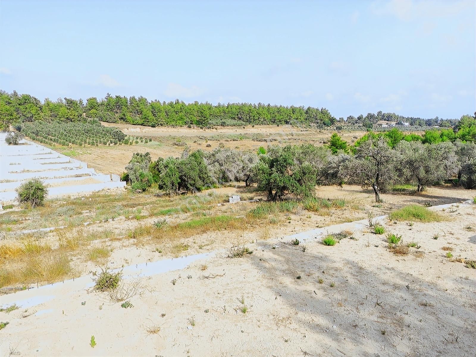 Turyap'tan Manavgat Taşağılda Sitede Denize Yakın 350 M2 Arsa - Görsel 12