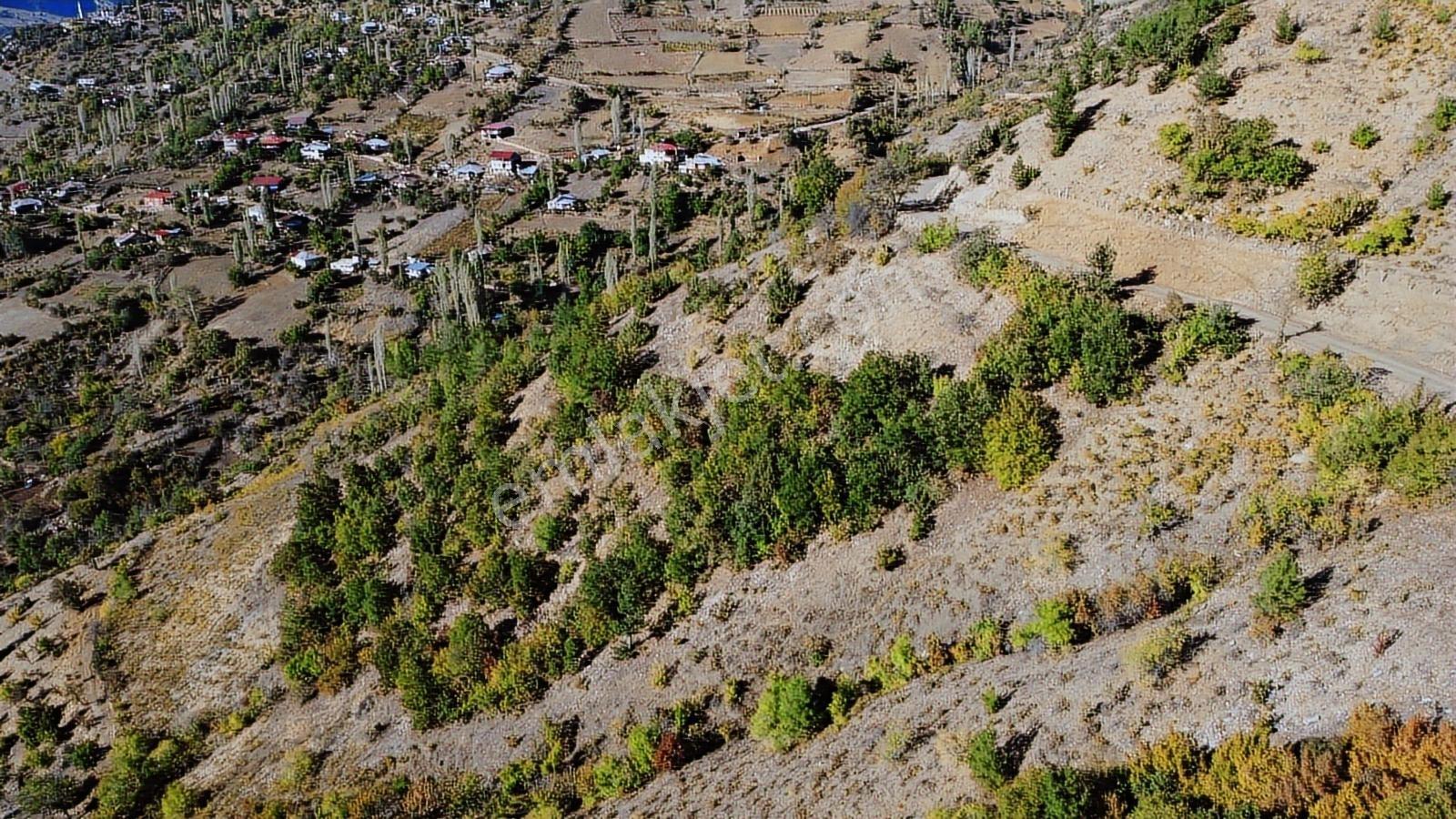 Adana Satılık Bağ Yerleşime Yakın - Görsel 7