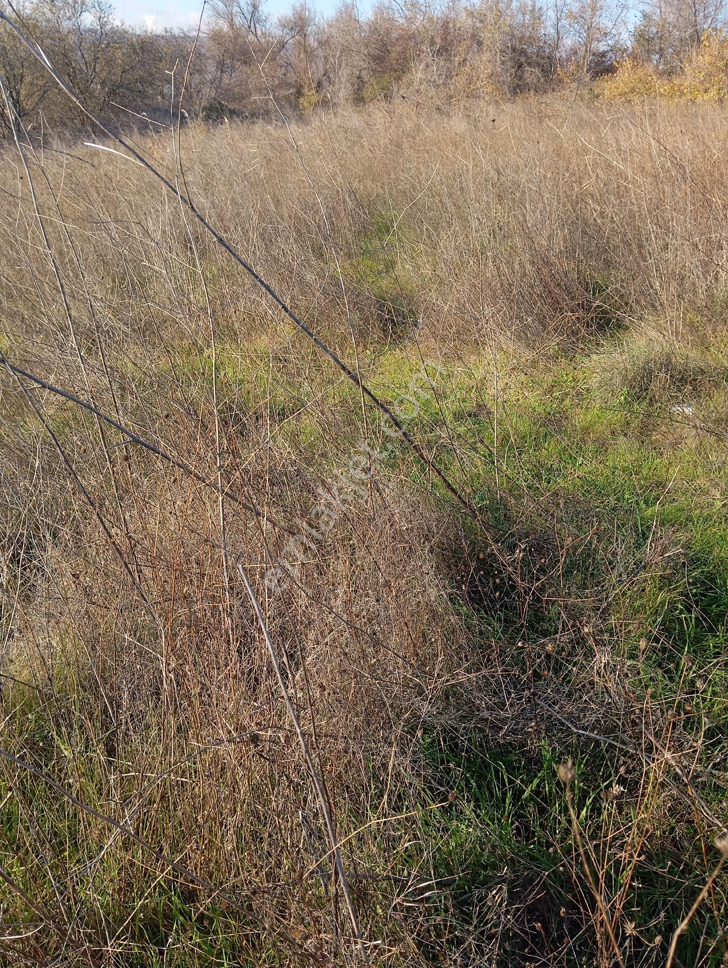 Parlar Emlaktan Satılık Tarla Şarköy Kirazlı Mahallesinde 1.300 Metre Kare - Görsel 9