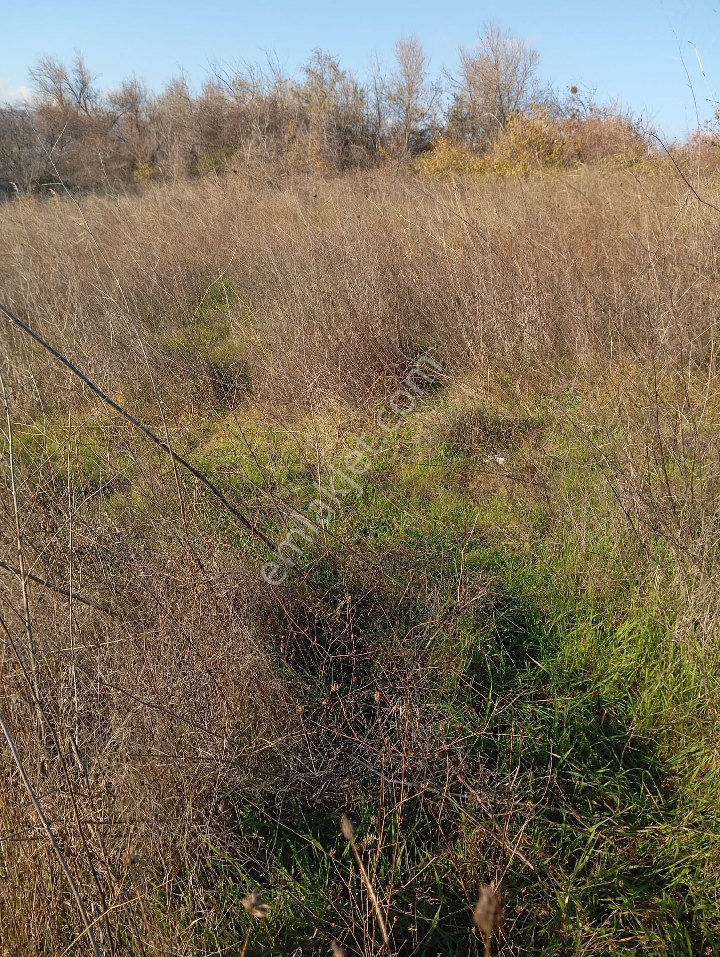 Parlar Emlaktan Satılık Tarla Şarköy Kirazlı Mahallesinde 1.300 Metre Kare - Görsel 10