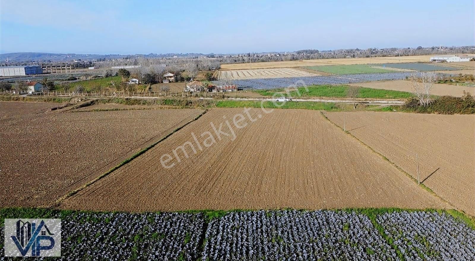 Bafra Vıp Gayrimenkulden Ağıllar Köyünde 3.901m2 Satılık Tarla - Görsel 3