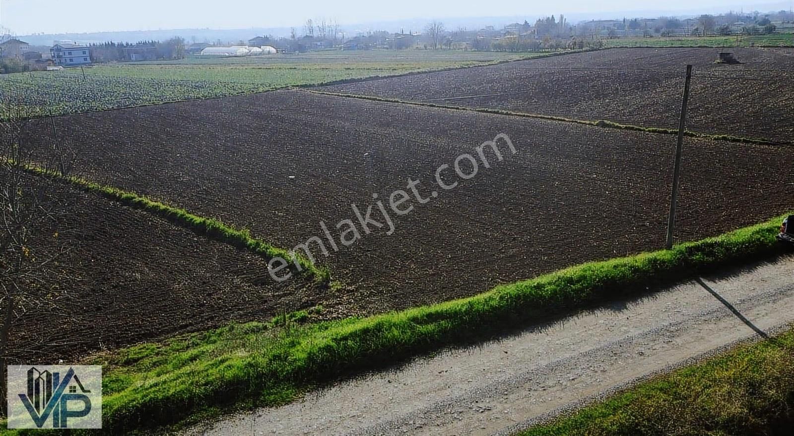 Bafra Vıp Gayrimenkulden Ağıllar Köyünde 3.901m2 Satılık Tarla - Görsel 11