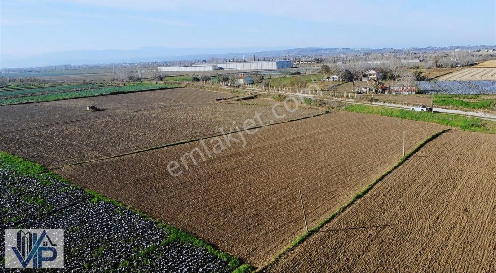 Bafra Vıp Gayrimenkulden Ağıllar Köyünde 3.901m2 Satılık Tarla - Görsel 9