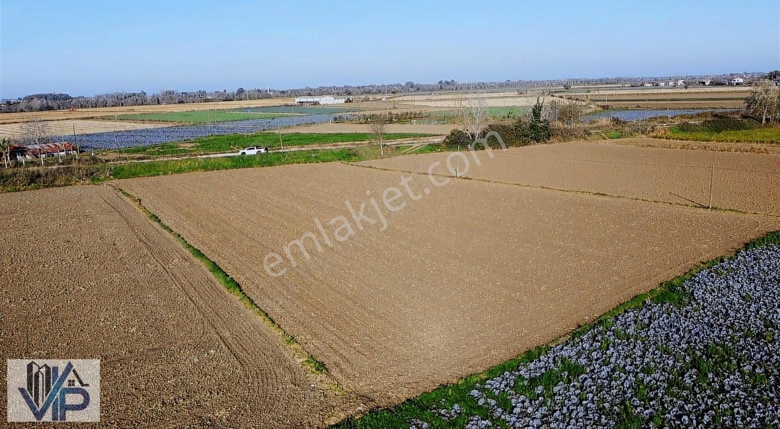 Bafra Vıp Gayrimenkulden Ağıllar Köyünde 3.901m2 Satılık Tarla - Görsel 7